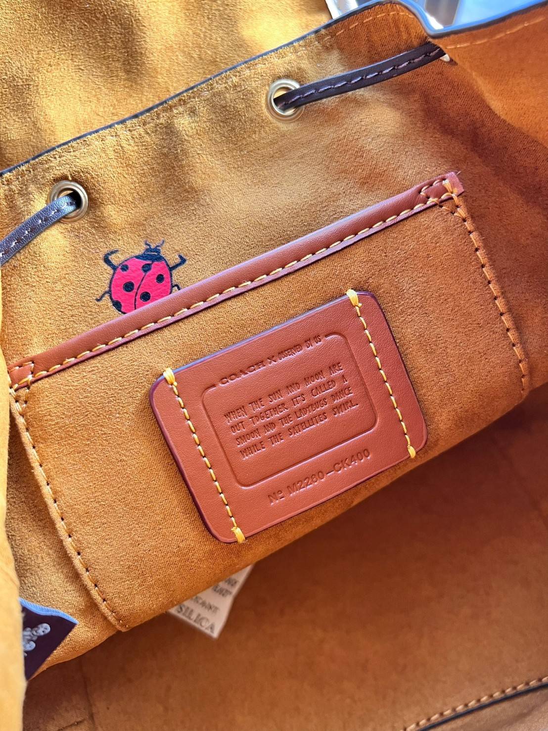 COACH X Observed By Us Riya Backpack 21 In Colorblock CK400 พร้อมส่งที่ไทยก่อนใคร กระเป๋าวสะพายหลังแบบมีหูหิ้ว หนังแท้อย่างดี หนังนิ่มละมุนมือมากค่ะ ไม่แข็งทื่อๆนะคะ!