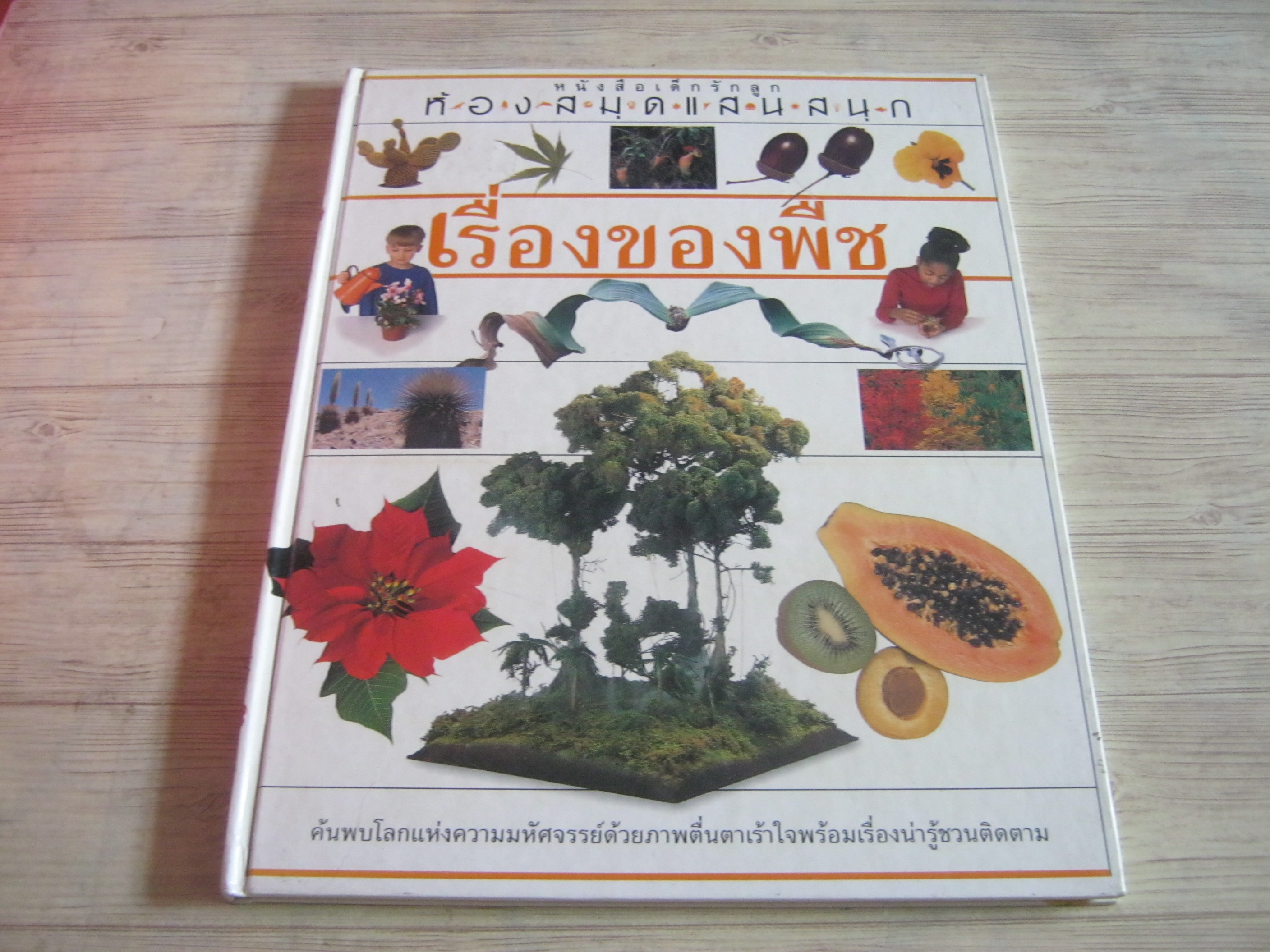 หนังสือเด็กรักลูก ห้องสมุดแสนสนุก เรื่องของพืช ปิยะ เฉลิมกลิ่น แปล