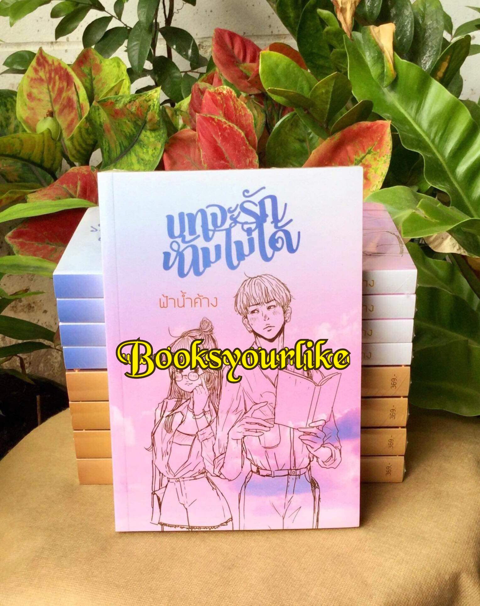 บทจะรักห้ามไม่ได้,ผู้แต่ง,ฟ้าน้ำค้าง,นิยายรักทำมือ แนะนำค่ะ
