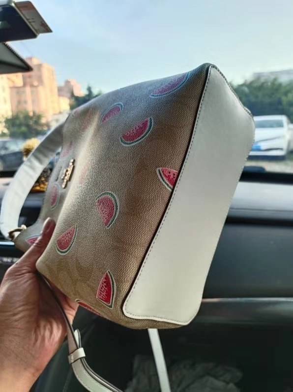 OUTTLET 】COACH SMALL TOWN BUCKET BAG IN SIGNATURE CANVAS WITH WATERMELON PRINT