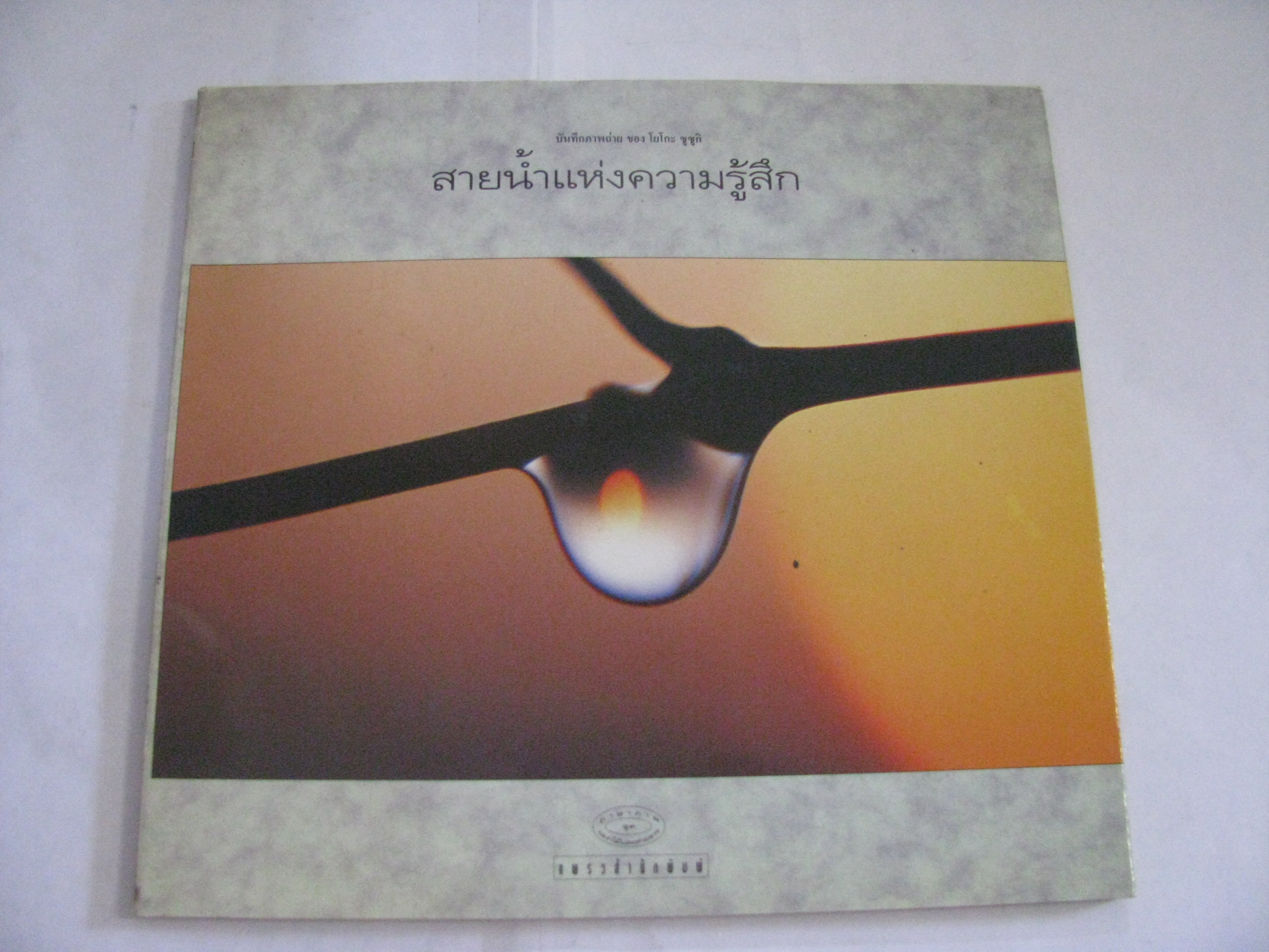 บันทึกภาพถ่าย สายน้ำแห่งความรู้สึก โยโกะ ซูซูกิ ภาพ***สินค้าหมด***