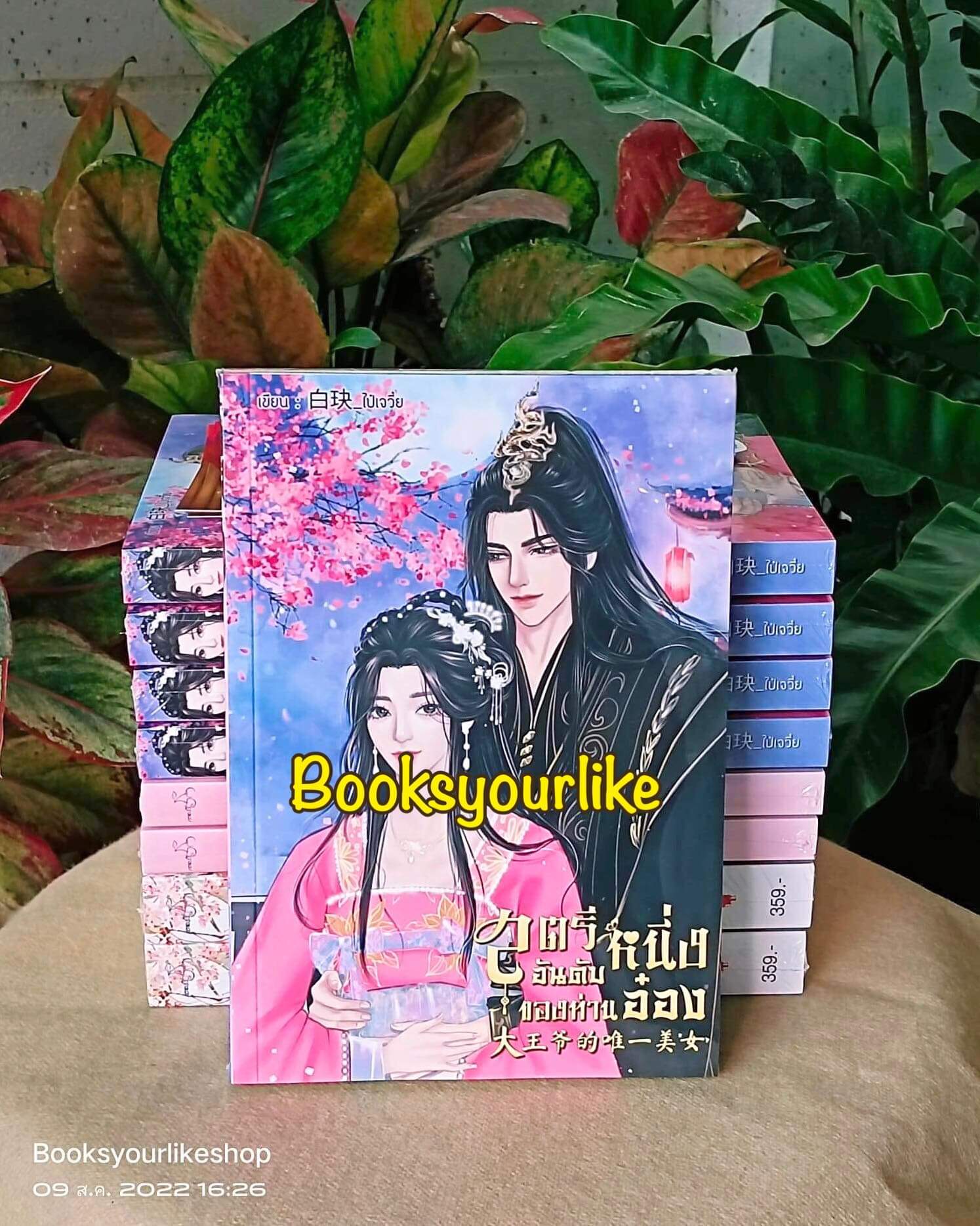 สตรีอันดับหนึ่งของท่านอ๋อง,ผู้แต่ง,ไป๋เจวี๋ย,นิยายรักทำมือจีนโบราณ แนะนำค่ะ