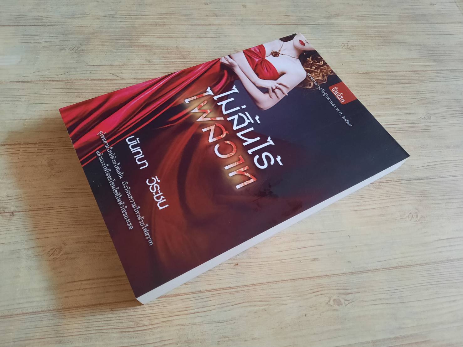 ไม่สิ้นไร้ไฟสวาท นันทนา วีระชน เขียน***สินค้าหมด***