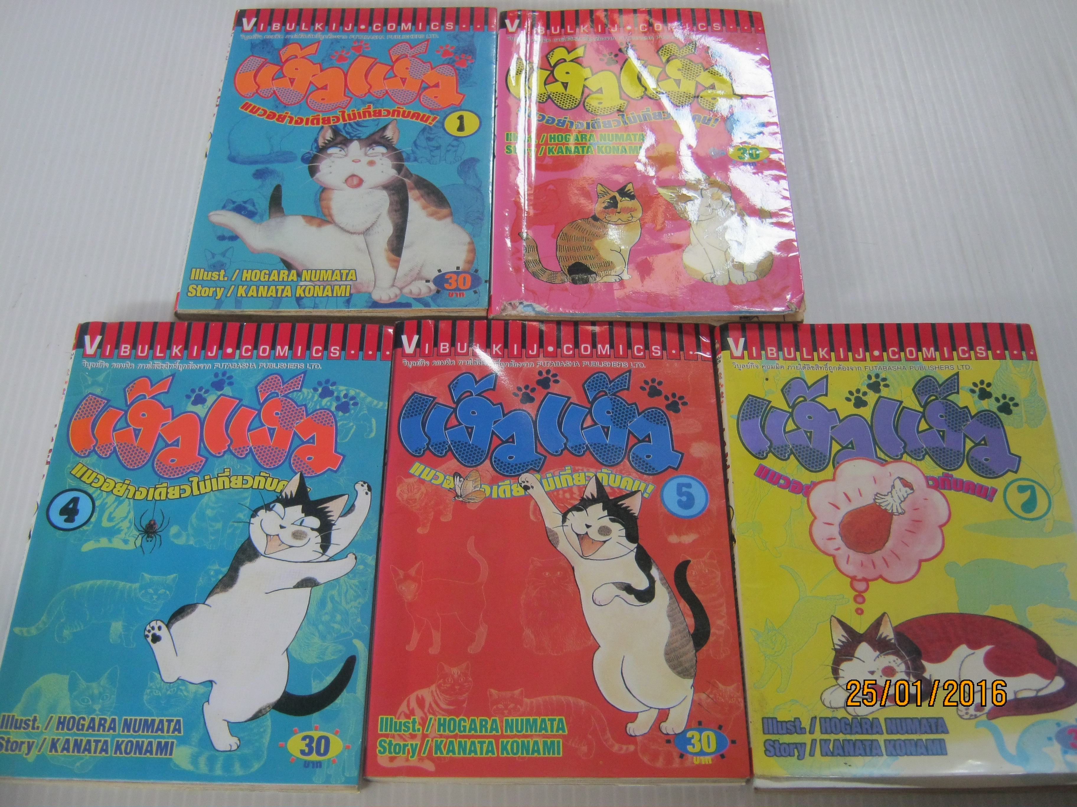 แง้วแง้ว แมวอย่างเดียวไม่เกี่ยวกับคน ! ชุด เล่ม 1,2,4,5,7 Hogara Numata & Kanata Konami เขียน