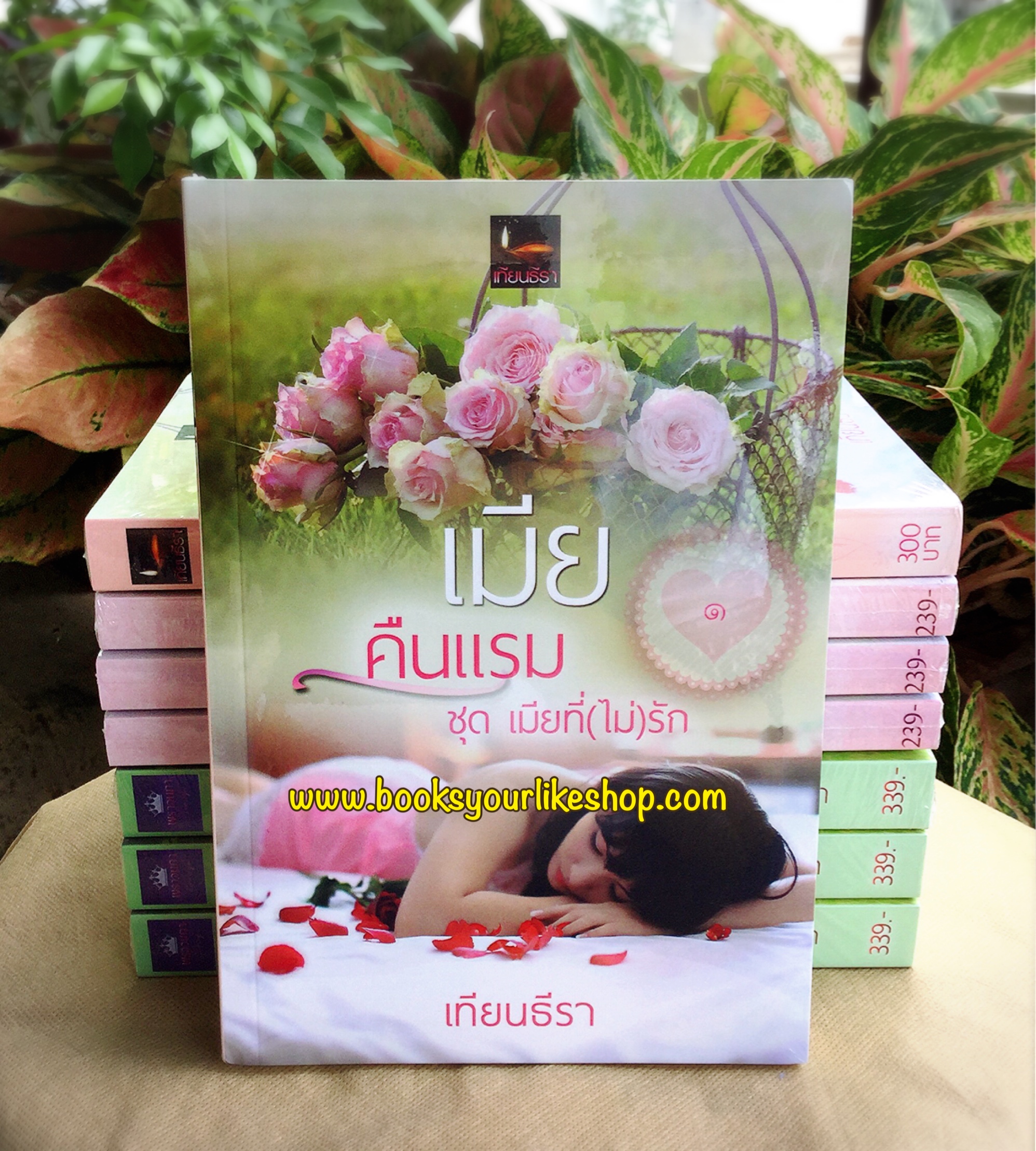 เมียคืนแรม, ซีรี่ย์เมียที่ไม่รักเล่ม 1 ,ผู้แต่ง, เทียนธีรา หนังสือใหม่,นิยายทำมือ