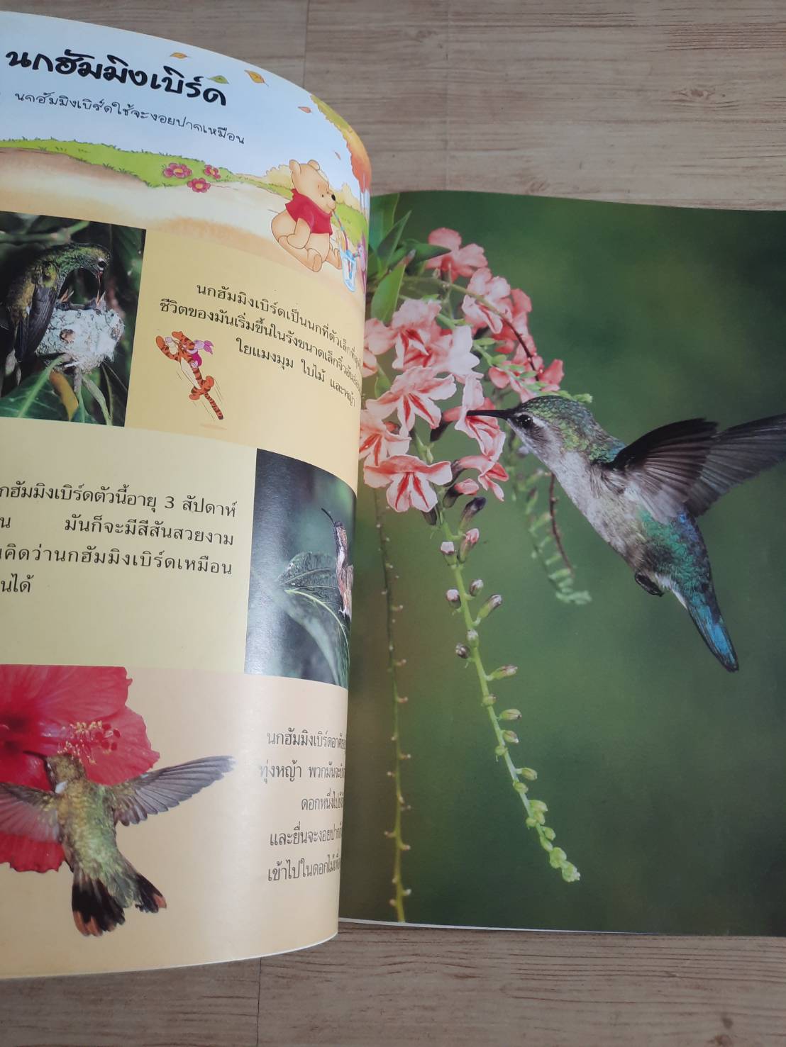 วินนีเดอะพูห์ เปิดโลกการเรียนรู้ นก ศุภวัลย์ ตันวรรณรักษ์ แปล