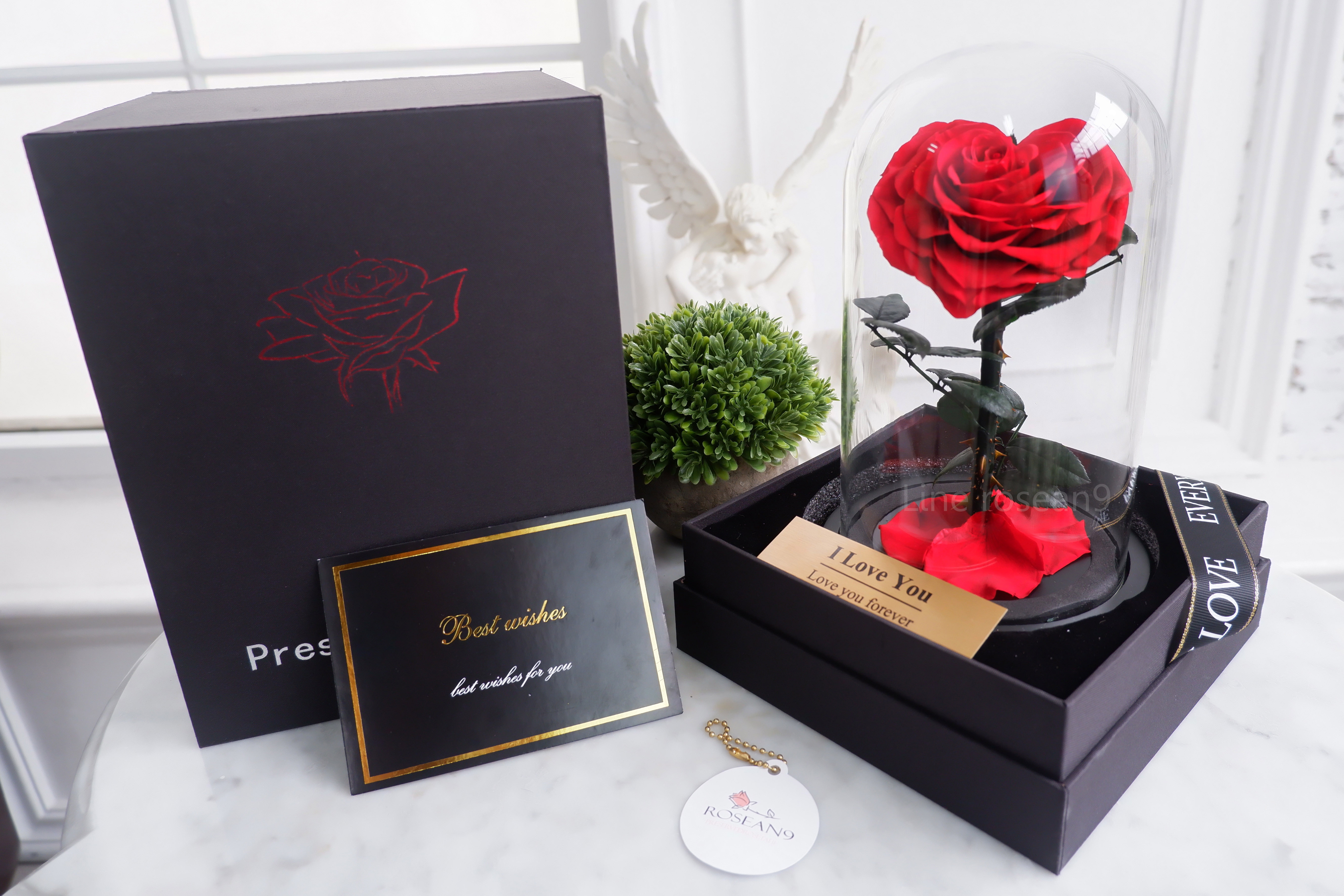 กุหลาบอมตะ กุหลาบอมตะหัวใจ