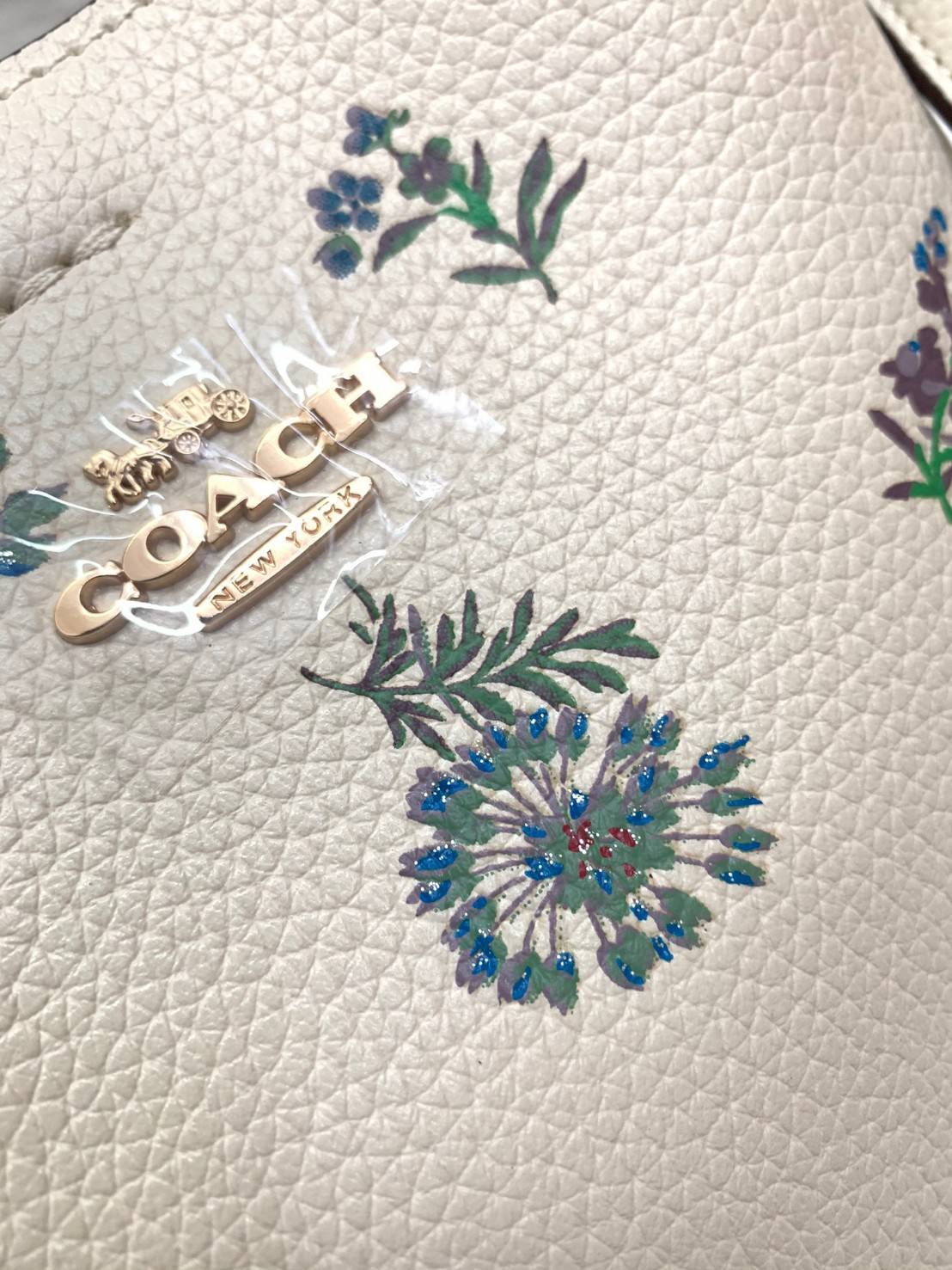 ของแท้ 💯% COACH SMALL TOWN BUCKET BAG WITH DANDELION FLORAL PRINT พร้อมส่งที่ไทยค่ะ! กระเป๋าหิ้ว//สะพายข้าง หนังแท้นิ่มสวย