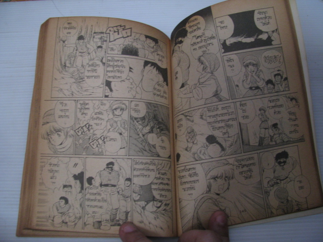 นักรบกู้บัลลังก์ เล่มเดียวจบ