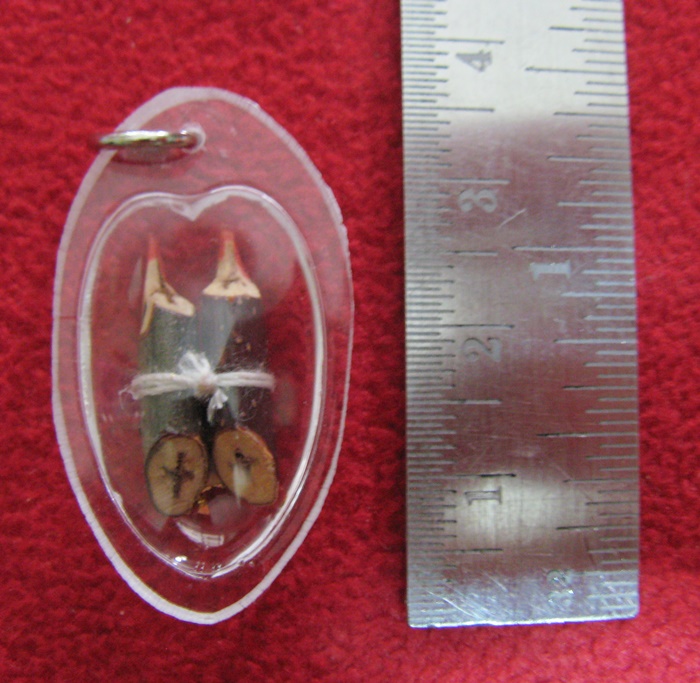 จี้สาริกาลิ้นทอง หลวงพ่อเปิ่น เลี่ยมกรอบใส วัดบางพระ พร้อมใบคาถาค่ะ