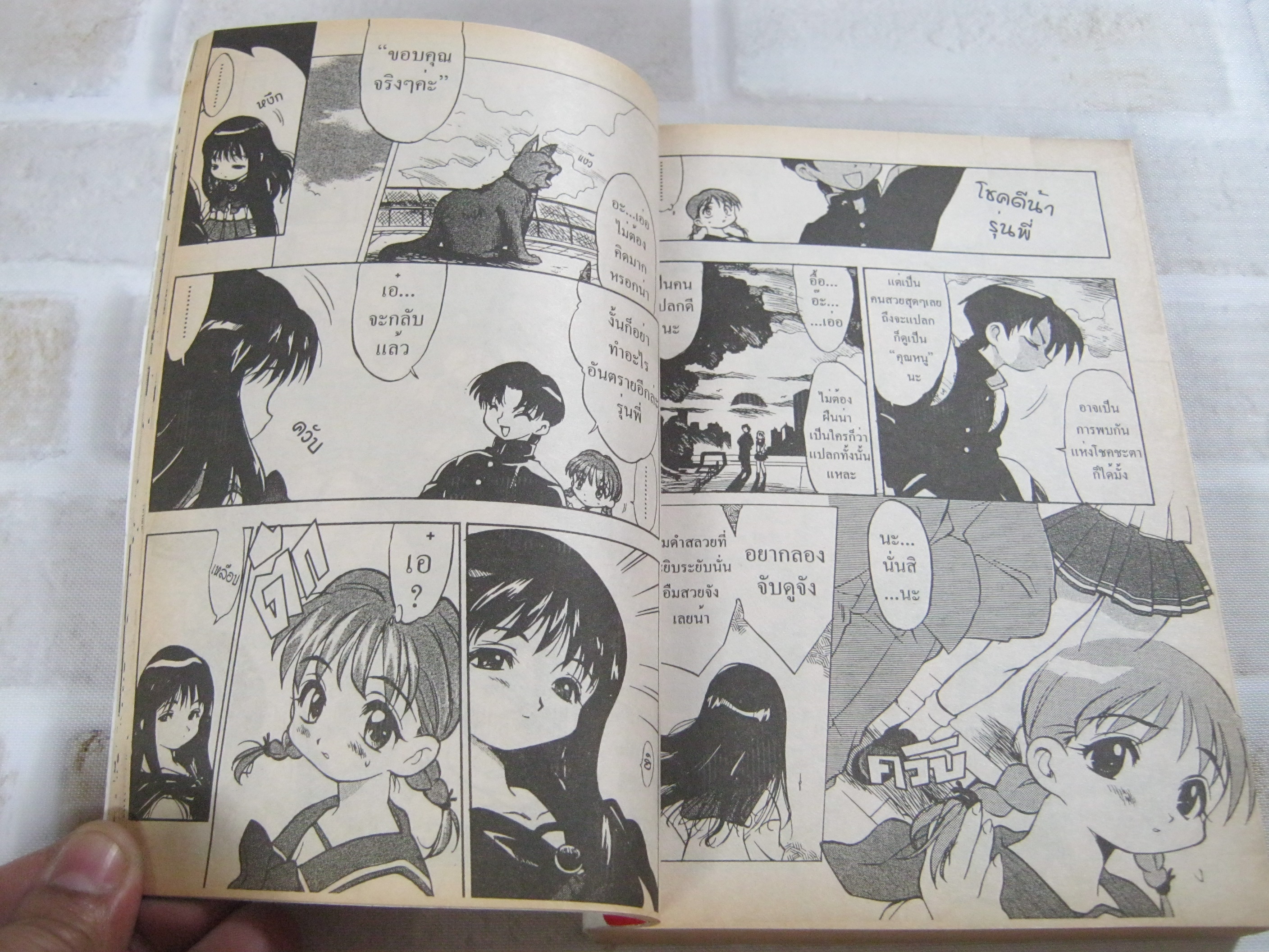 TOHEART สื่อรัก...หัวใจกุ๊กกิ๊ก เล่มเดียวจบ