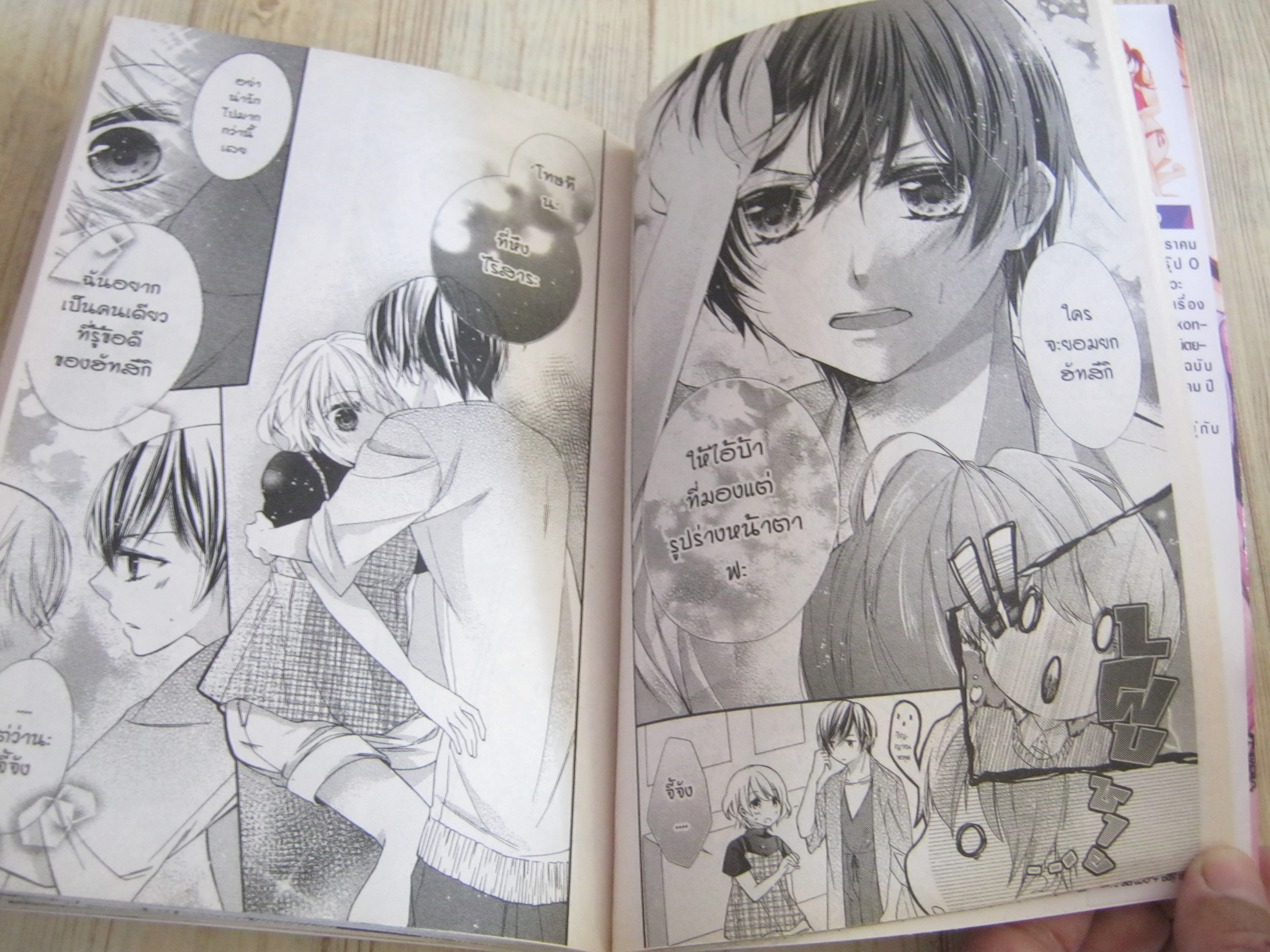 หลงกลรักวุ่นนายรุ่นน้อง เล่มเดียวจบ Ayaka Torino เขียน