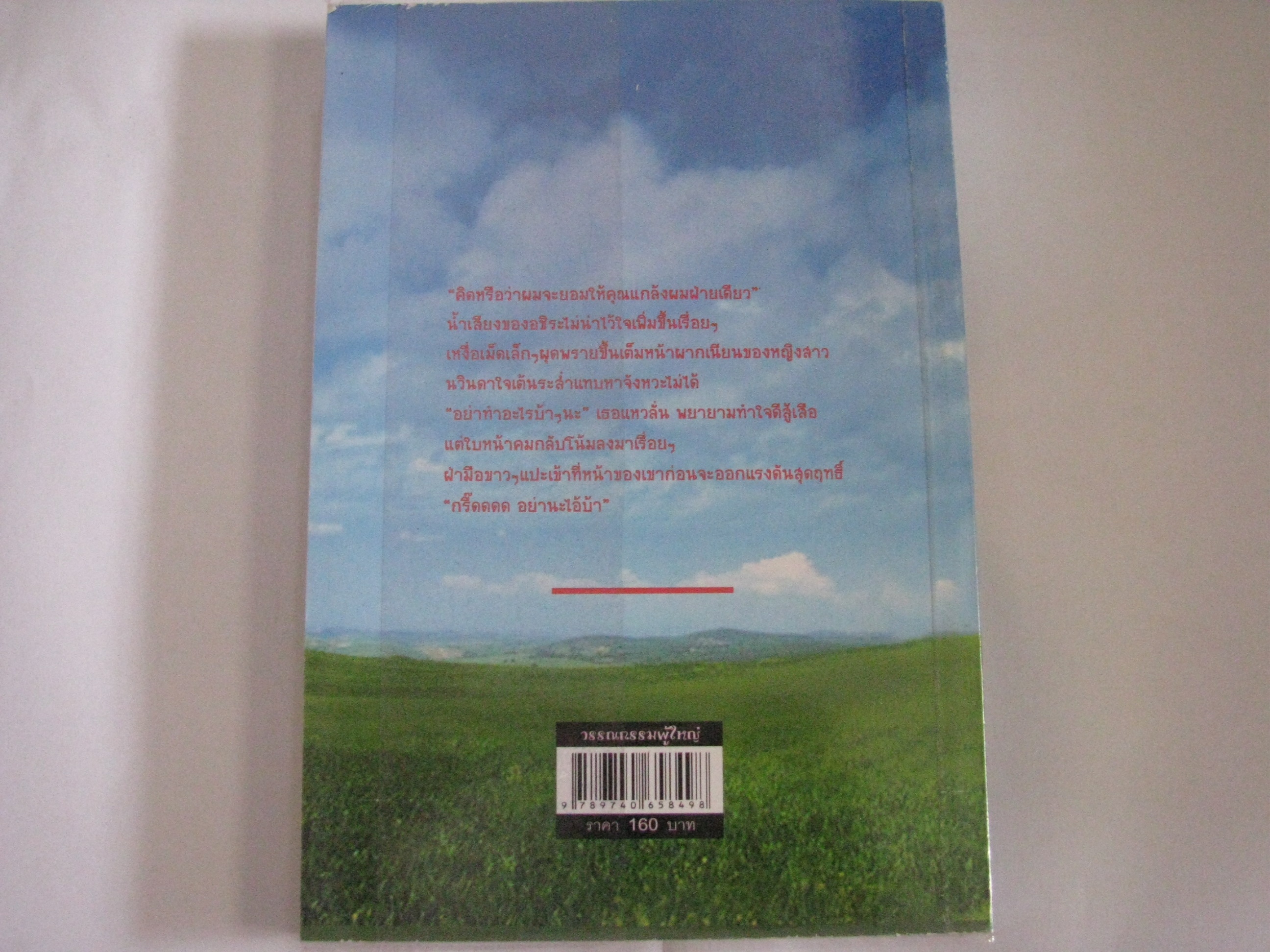 รักนอกบท ปาย เขียน