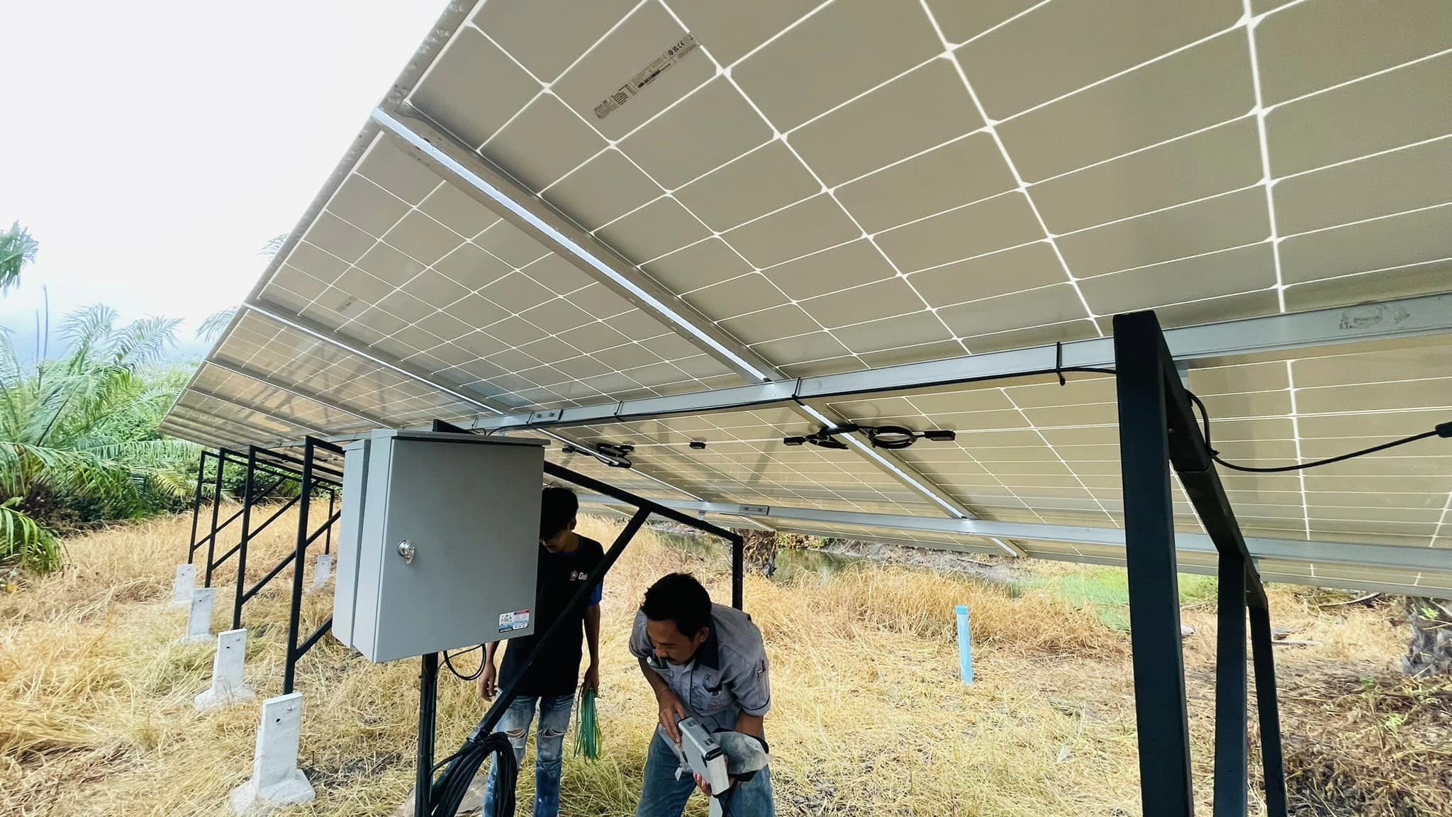 ชุดซัมเมิสปั้มบาดาล ขนาด 3 แรงม้า สวนปาล์มน้ำมัน