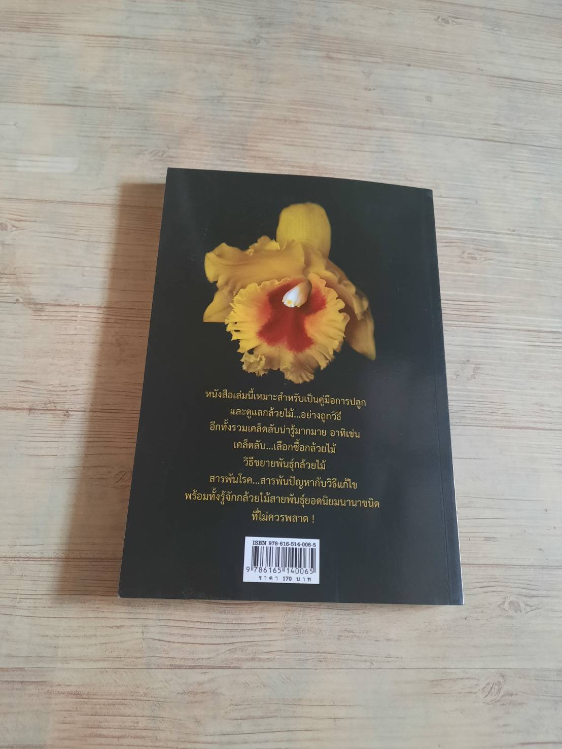 กล้วยไม้ คู่มือการปลูกและสายพันธุ์ยอดนิยม โดย อาจารย์กนกวรรณ เตชะวณิช