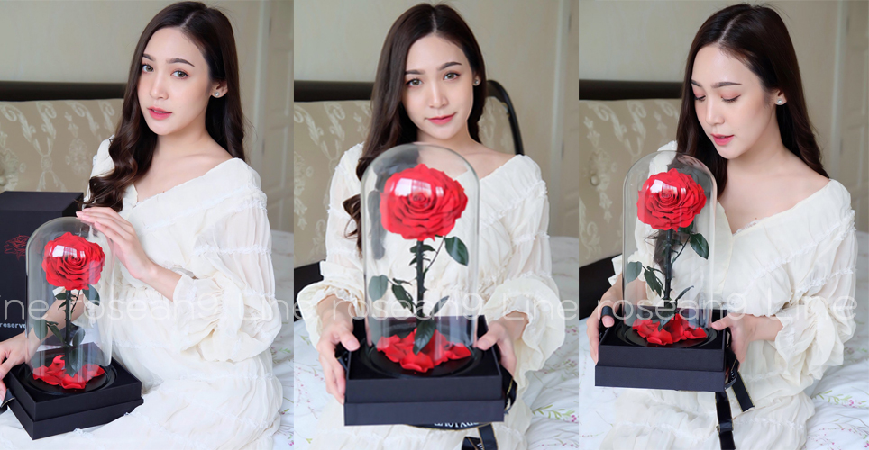 กุหลาบในโดมแก้ว ขนาดใหญ่