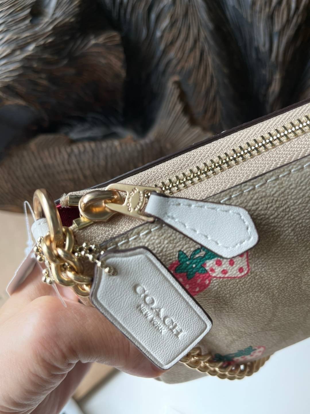 OUTLET 】Coach Signature Top Handle Coach Pouch with Strawberry, Watermelon, Ladybug พร้อมส่งที่ไทย เป็นอีกรุ่นหนึ่งที่ได้รับความนิยมในหมู่สาว ๆ ค่ะ นอกจากราคาจะไม่สูงแล้ว ยังมีรูปทรงที่น่าสนใจอีกด้วย กะทัดรัดแต่ใช้งานง่าย เหมาะกับทุกโอกาส สำหรับกระเป๋าคล้