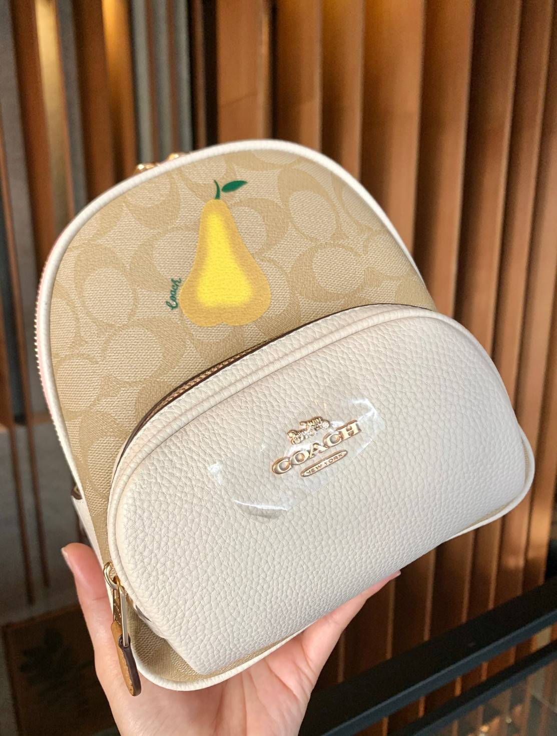 COACH MINI COURT BACKPACK IN SIGNATURE WITH PEAR ((c8258)) 🌈สวยกันก่อนใคร วางน้องไม่ลงเลยจริงๆค่าา😍 พร้อมส่ง! กับกระเป๋าสะพายหลังแบบมีหูหิ้วในตัว บอกก่อนเลยว่าหนังของน้องทั้งนิ่ม ทั้งสวย อย่างดีเลยค่ะ