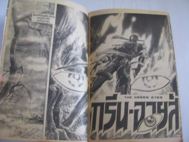 GREEN EYES เล่ม 1
