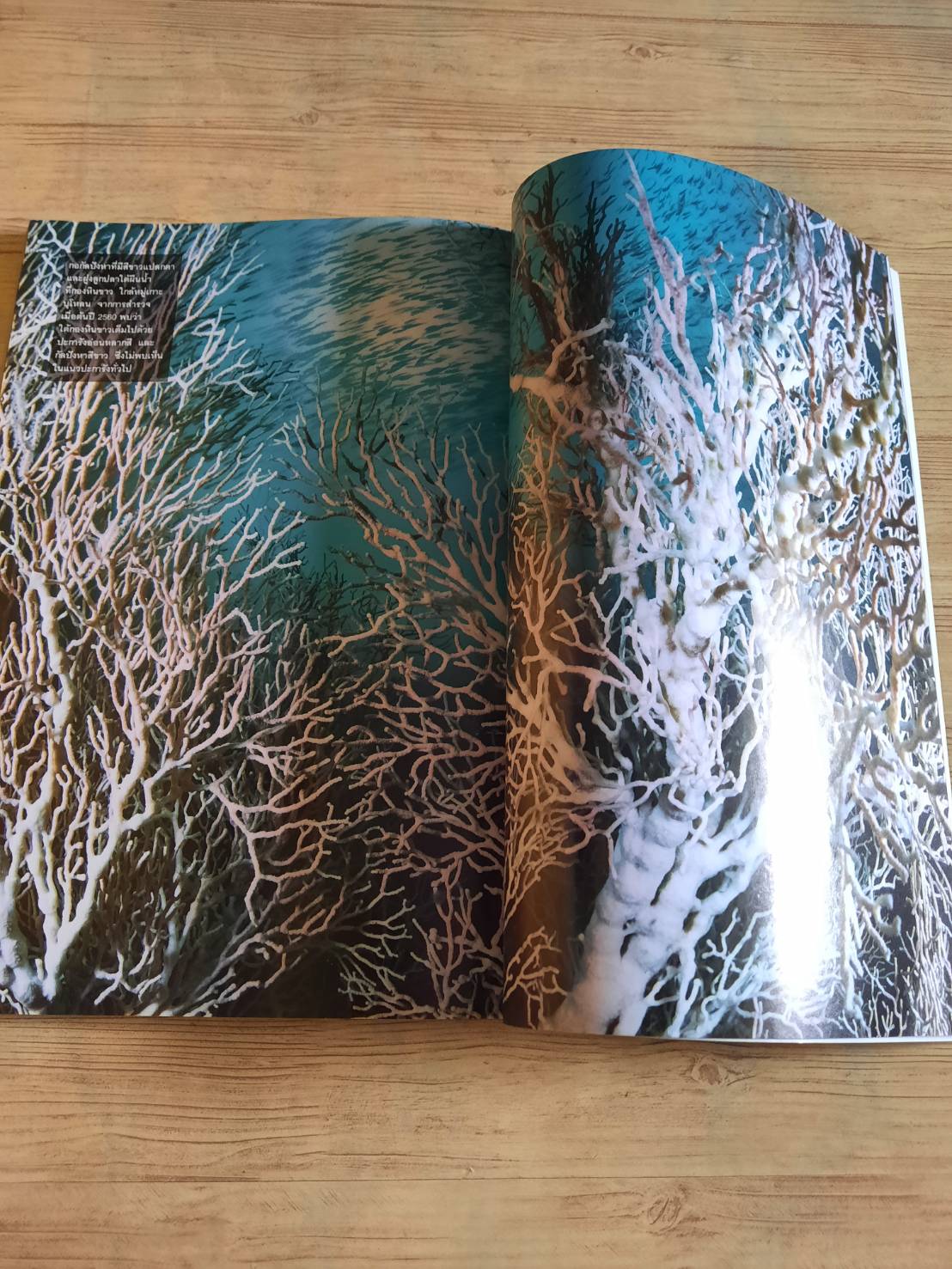 NATIONAL GEOGRAPHIC ฉบับภาษาไทย กรกฎาคม 2560 จับโกหก***สินค้าหมด***