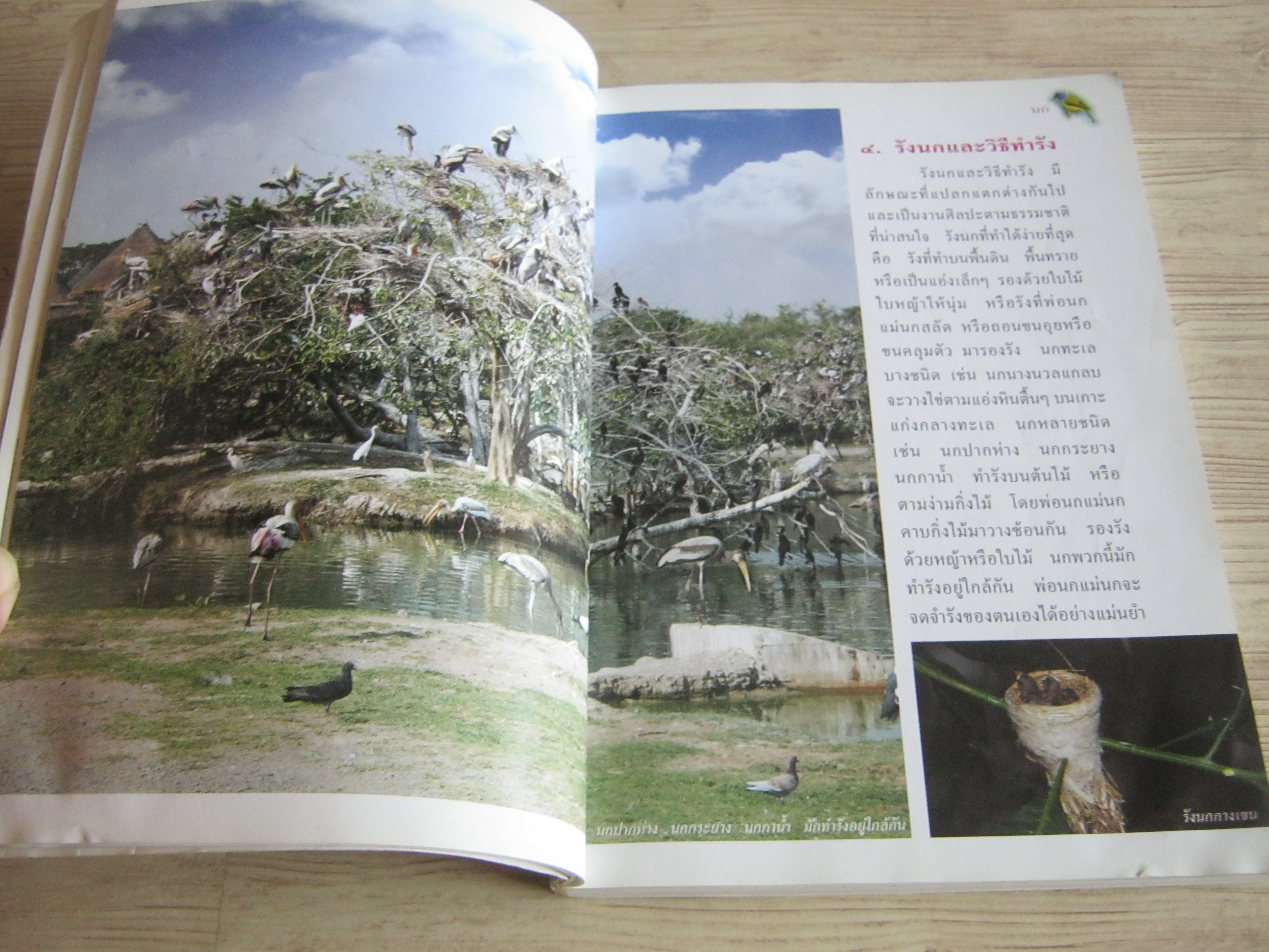 สารานุกรมไทยสำหรับเยาวชน ฉบับเสริมการเรียนรู้ เล่ม ๗ นก ผีเสื้อ ปลาสวยงาม