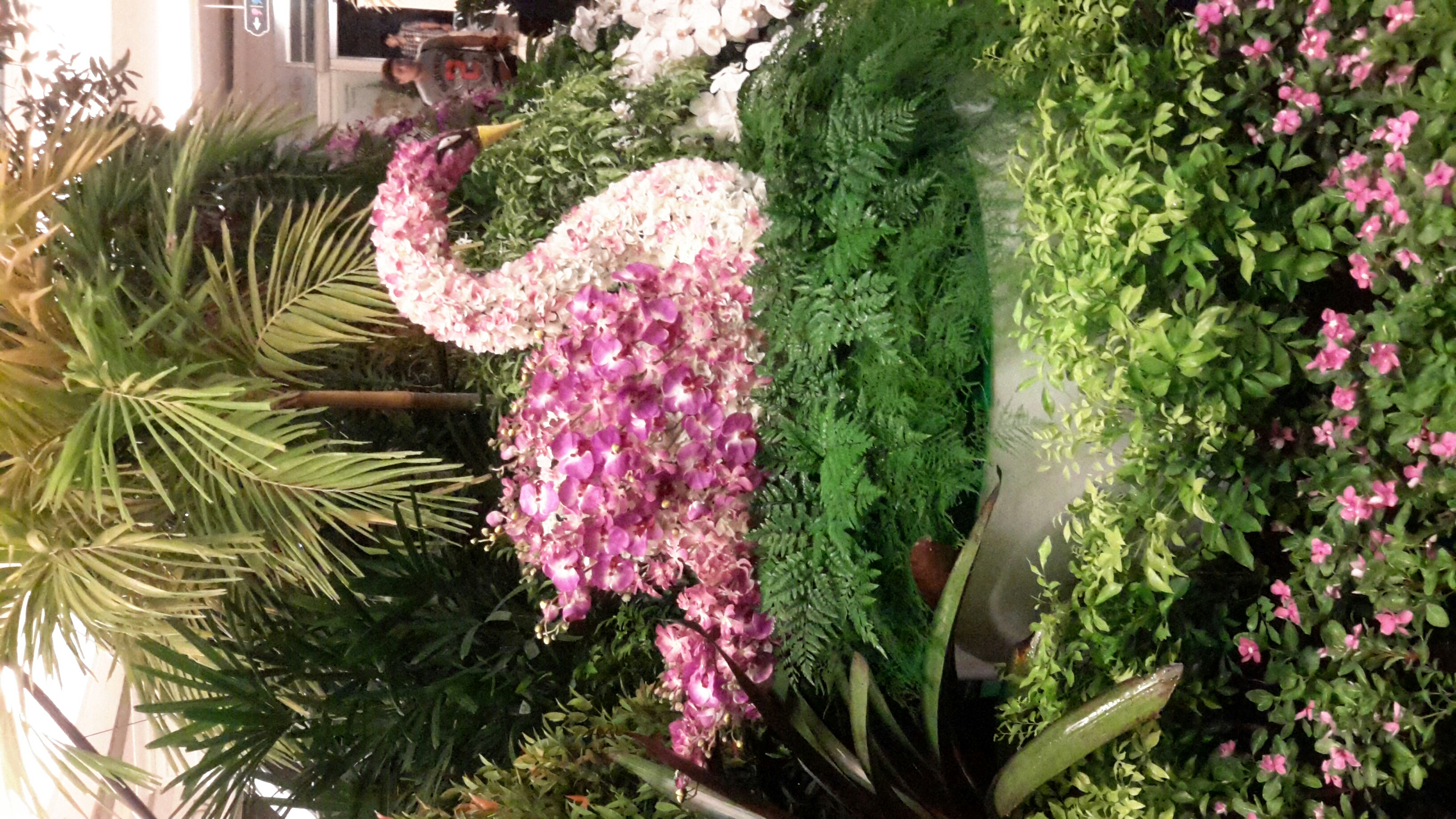 งานมหกรรมกล้วยไม้ที่ The Promenale แฟชั่นไอซ์แลน