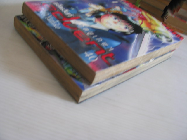 advent แอ็ดเวนท์ มฤตยูเทพฯ ครบชุด 2 เล่มจบ HARAO Yumiko เขียน