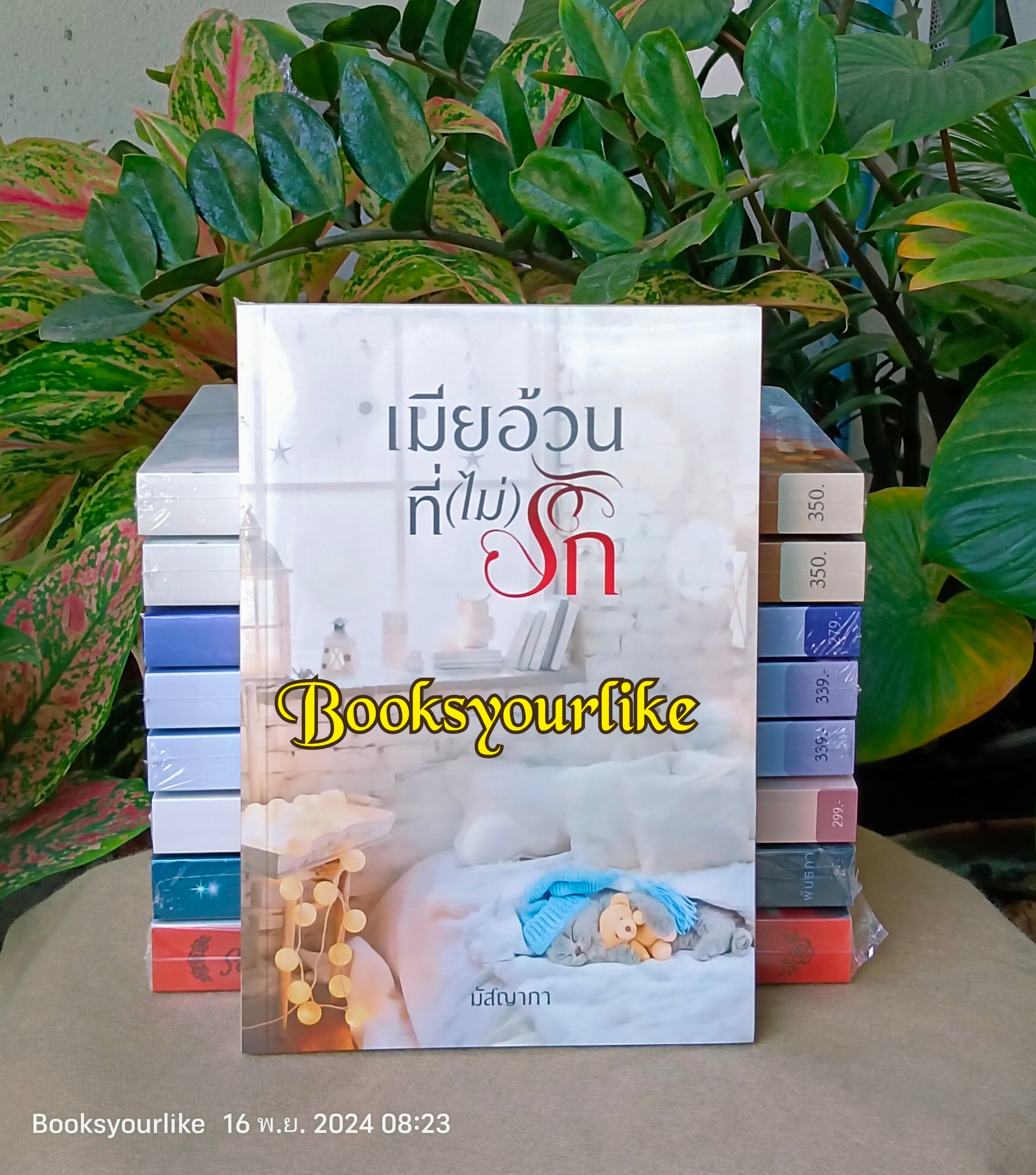 เมียอ้วนที่ไม่รัก,ผู้แต่ง,มัสญาภา,พันธกา,นิยายรักทำมือ