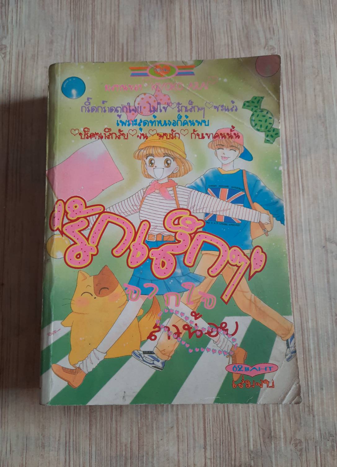 รักเล็ก ๆ จากใจสาวน้อย เล่มเดียวจบ Kyoko Arai เขียน