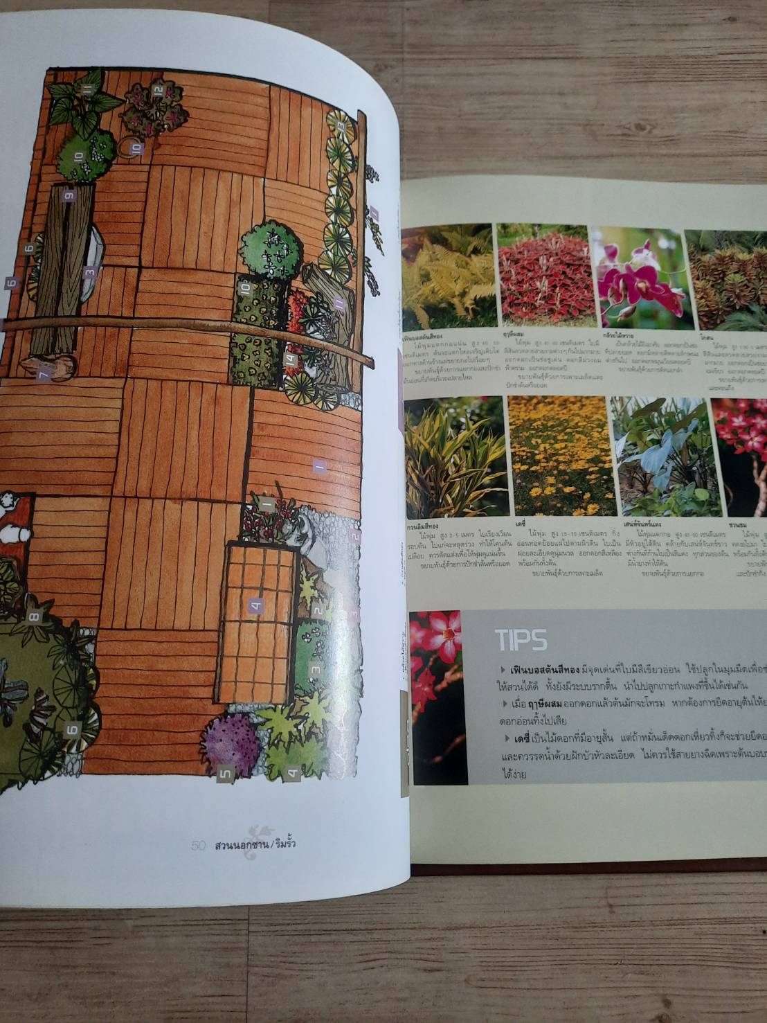 สวนในบ้าน เล่ม 17 สวนนอกชาน / ริมรั้ว พิมพ์ครั้งที่ 6 โดย กองบรรณาธิการสำนักพิมพ์บ้านและสวน