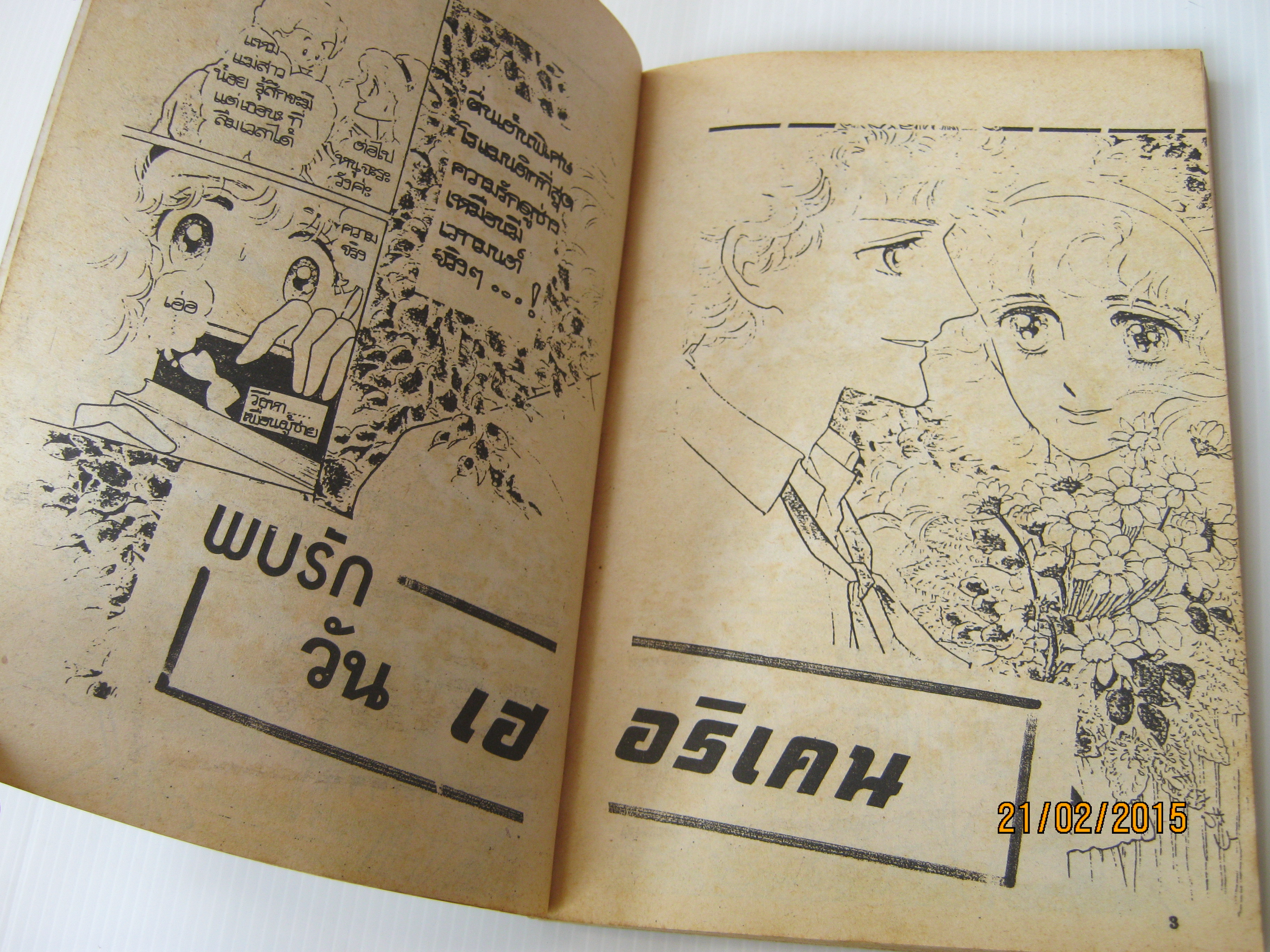 พบรักวันเฮอริเคน เล่มเดียวจบ