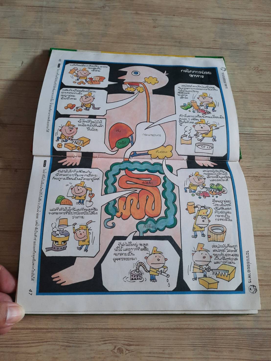 วิทยาศาสตร์อ่านสนุก ลำดับที่ 9 ร่างกายของเรา เทะรุมิ ฟุยิคิ ภาพ บุษบา กมลยะบุตรและคณะ แปล***สินค้าหมด***