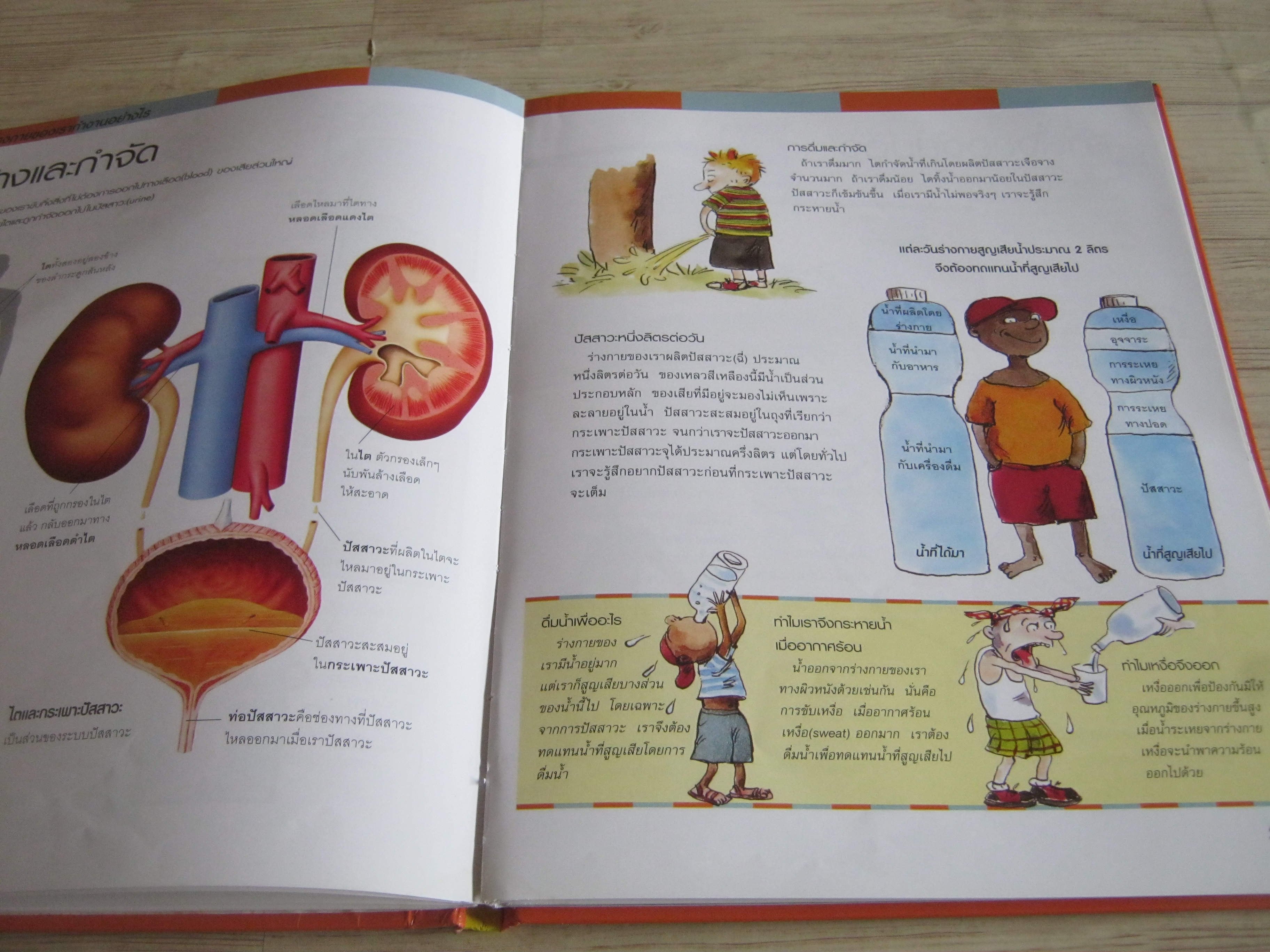 สารานุกรมสำหรับเยาวชน เล่ม 3 ร่างกายของเรา Docteur Pascale Borensztein เขียน ดร.โคทม อารียา แปล