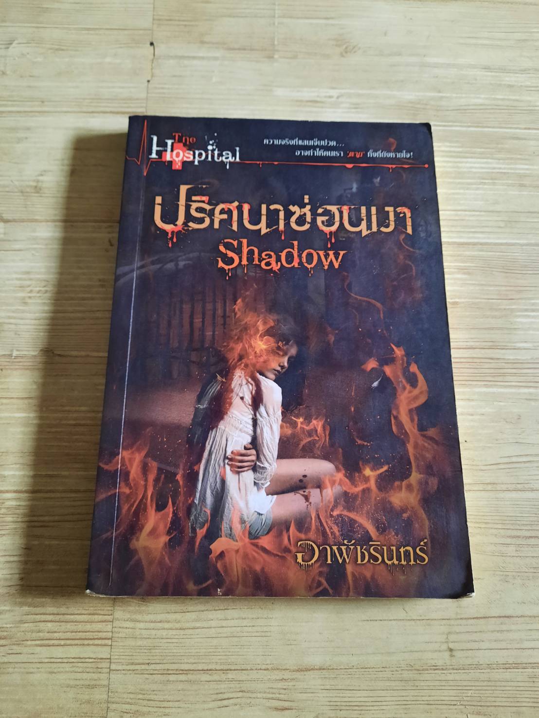 ปริศนาซ่อนเงา Shadow อาพัชรินทร์ เขียน