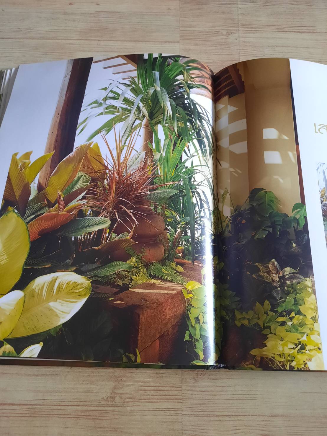 สวนในบ้าน เล่ม 12 สวนขนาดเล็ก พิมพ์ครั้งที่ 7 โดย กองบรรณาธิการสำนักพิมพ์บ้านและสวน