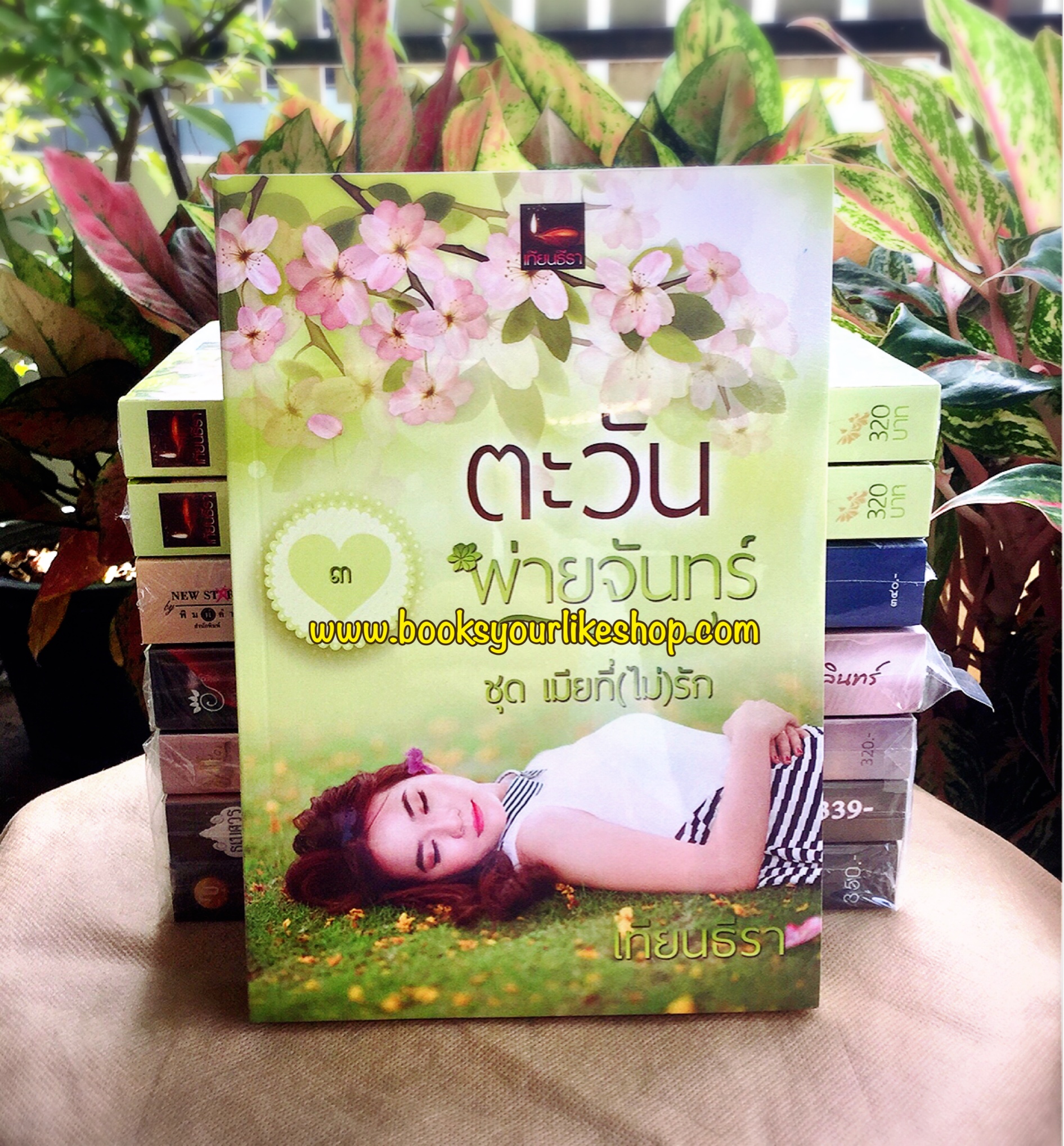 ตะวันพ่ายจันทร์, ชุดเมียที่ไม่รัก 3 ,ผู้แต่งเทียนธีรา หนังสือใหม่,นิยายทำมือ