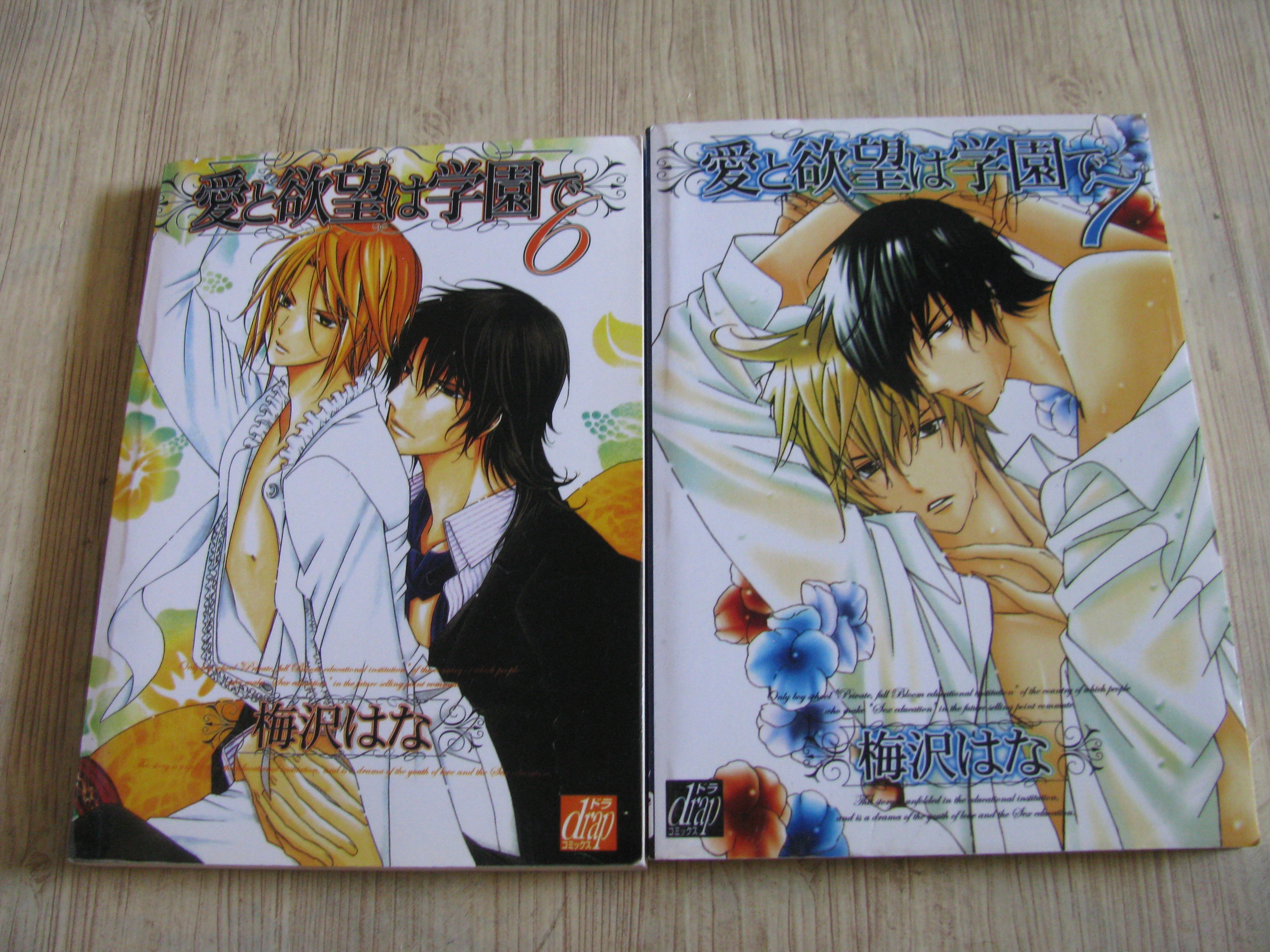 การ์ตูนวาย เล่ม 6,7***สินค้าหมด***