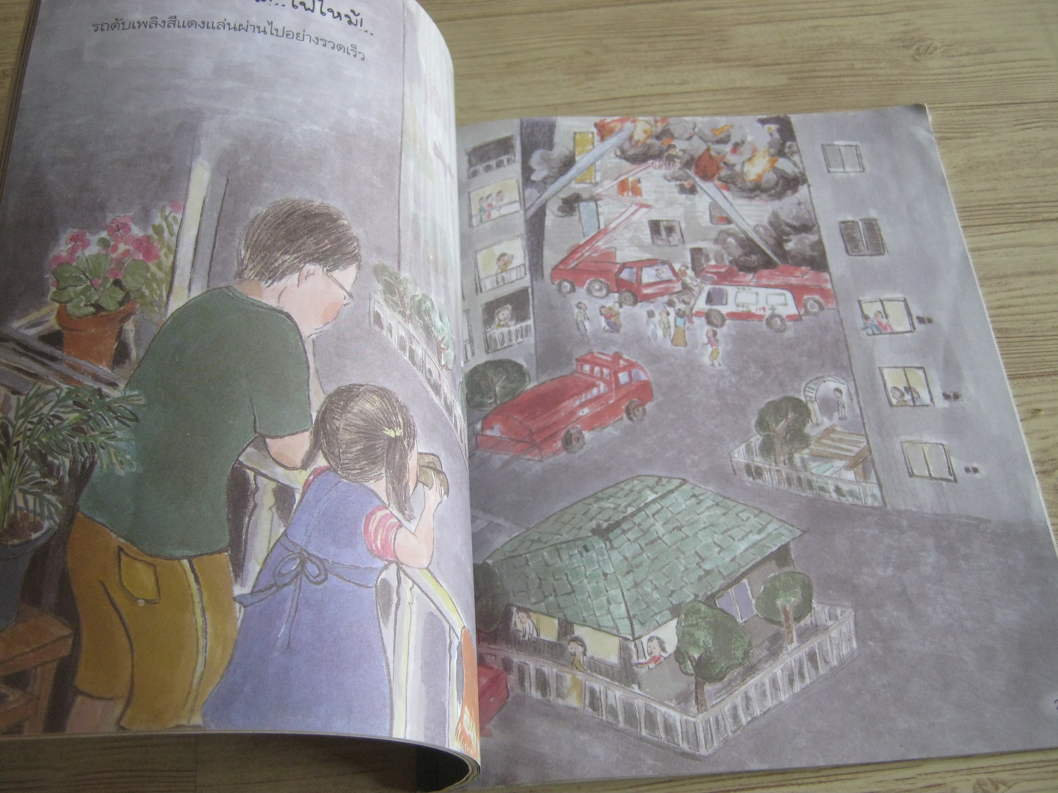 หนังสือจุดประกายคิด ชุด รู้วิทย์ คิดเป็น ไฟจอมพลัง ซุง เฮ ซุก เรื่อง คัง คยอน ซุน ภาพ กันต์ วงก์พงศา แปล