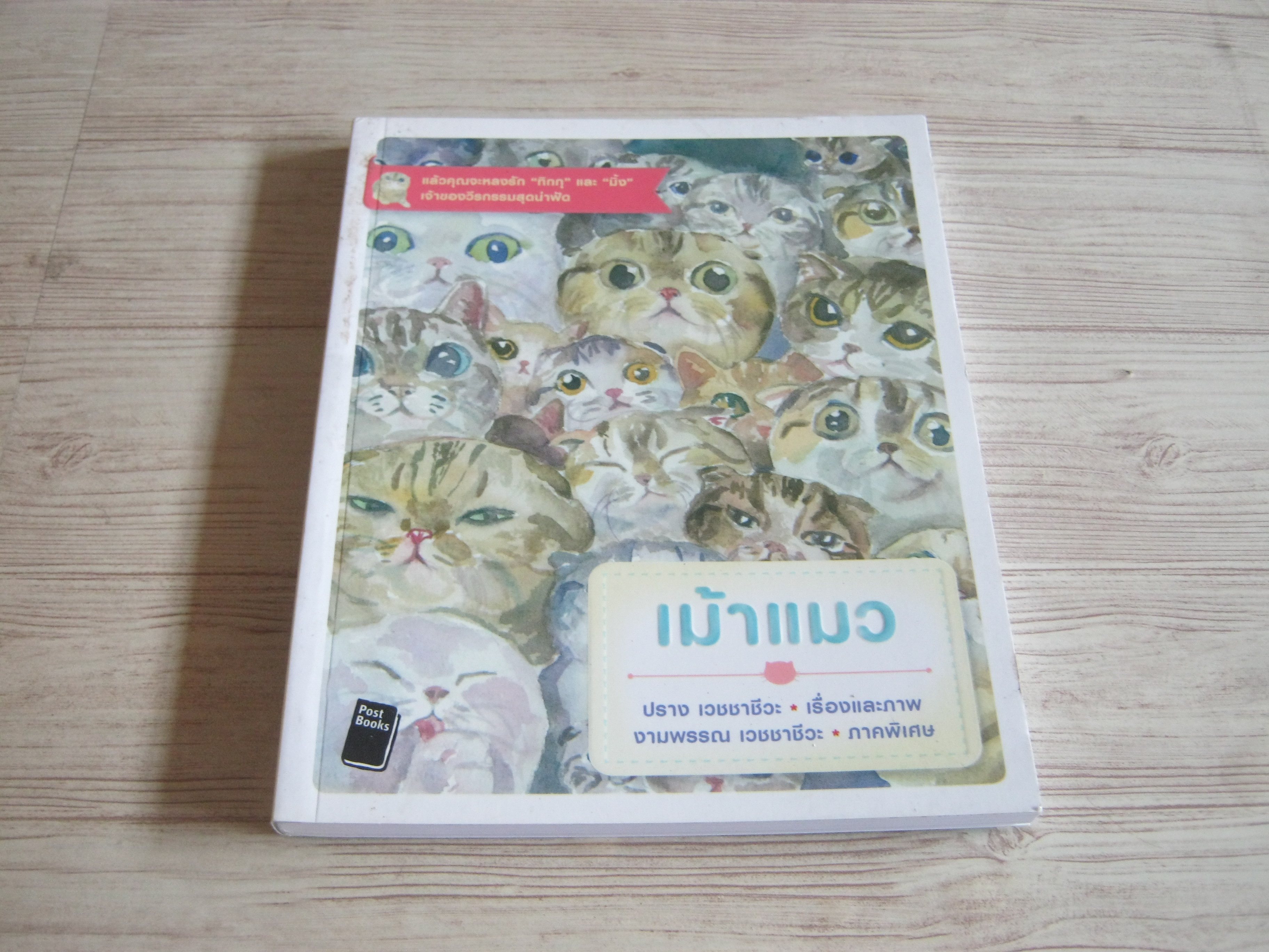เม้าแมว ปราง เวชชาชีวะ เรื่องและภาพ งามพรรณ เวชชาชีวะ ภาคพิเศษ