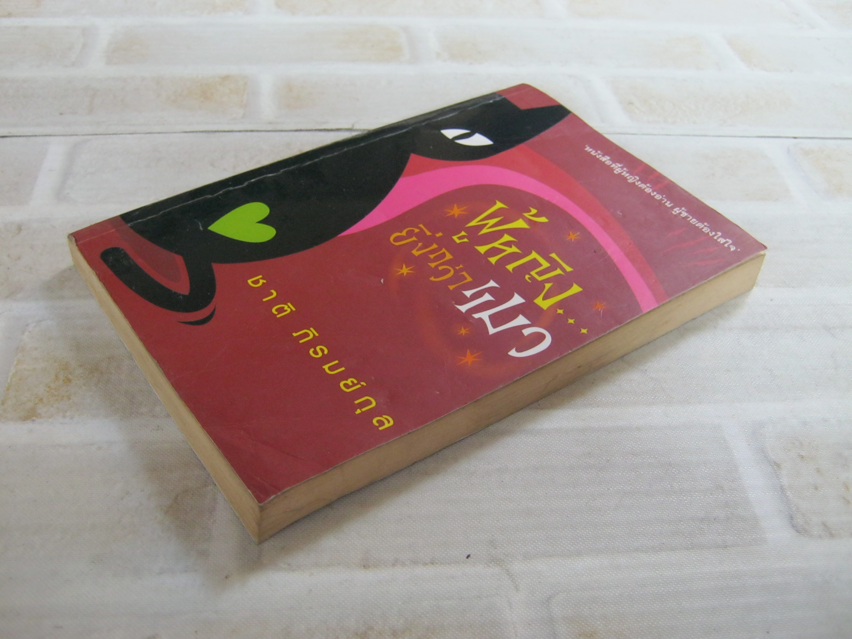 ผู้หญิงยิ่งกว่าแมว ชาติ ภิรมย์กุล เขียน