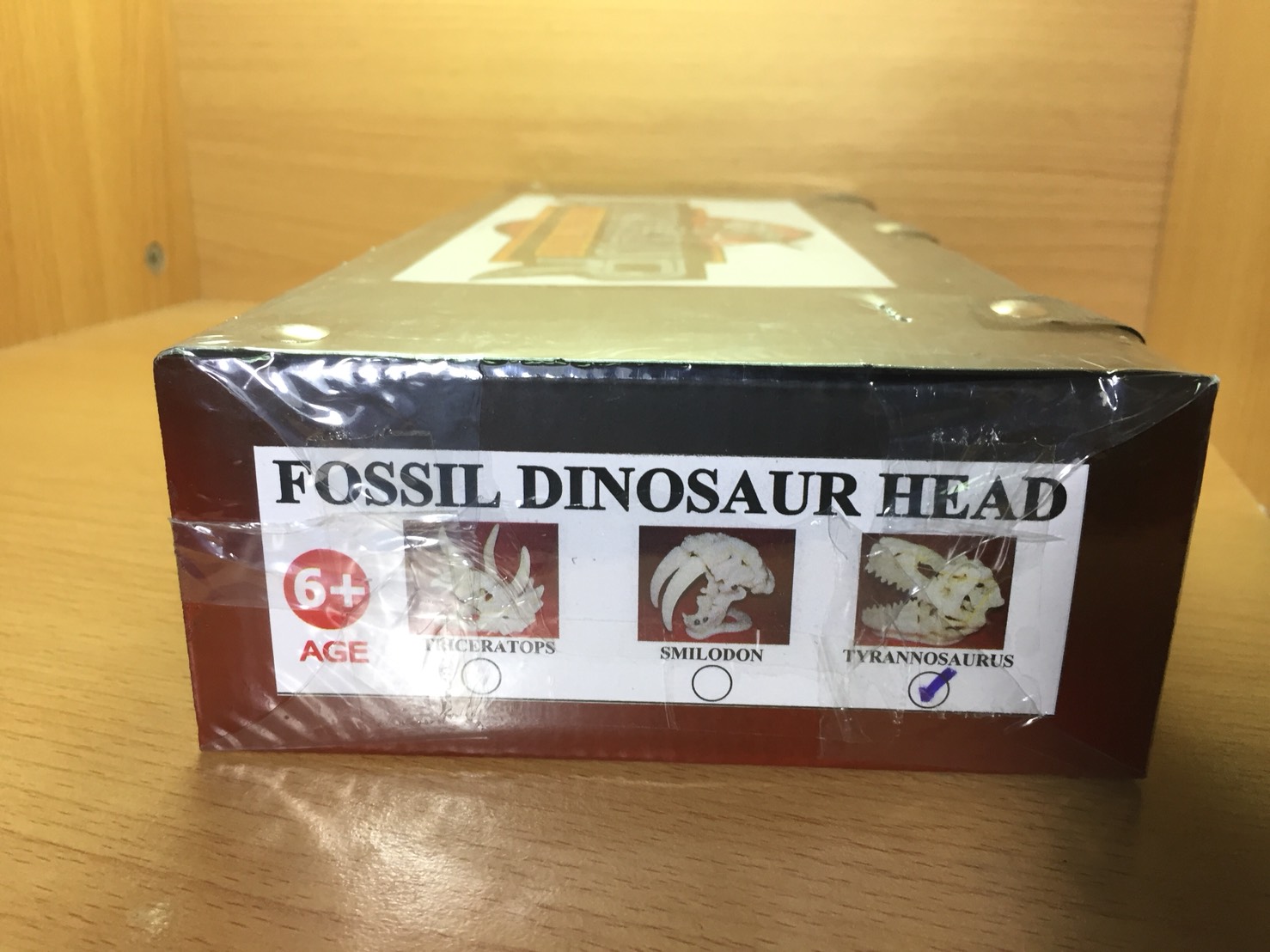 ชุดกระเป๋าขุดฟอสซิลและนำโครงกระดูกมาประกอบ(DinoSaur Adventure)