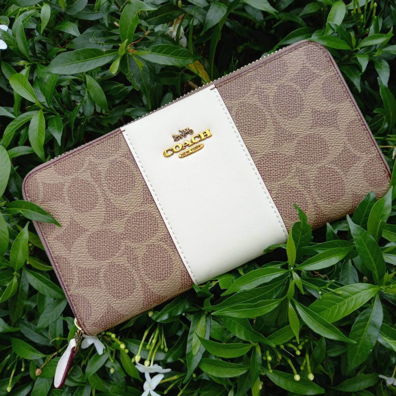 มาเท่าไหรก็ไม่เคยพอจริงๆ มีความต้องการกันถึงขีดสุด❣️😘>>COACH ACCORDION ZIP WALLET IN COLORBLOCK SIGNATURE CANVAS (COACH 31546)🍁กระเป๋าสตางค์ใบยาว ซิปรอบ //วัสดุหนังแคนวาสสลับหนังแท้ ดีไซน์สวย โดดเด่นลงตัวเป็นที่สุด ด้านในมีช่อ