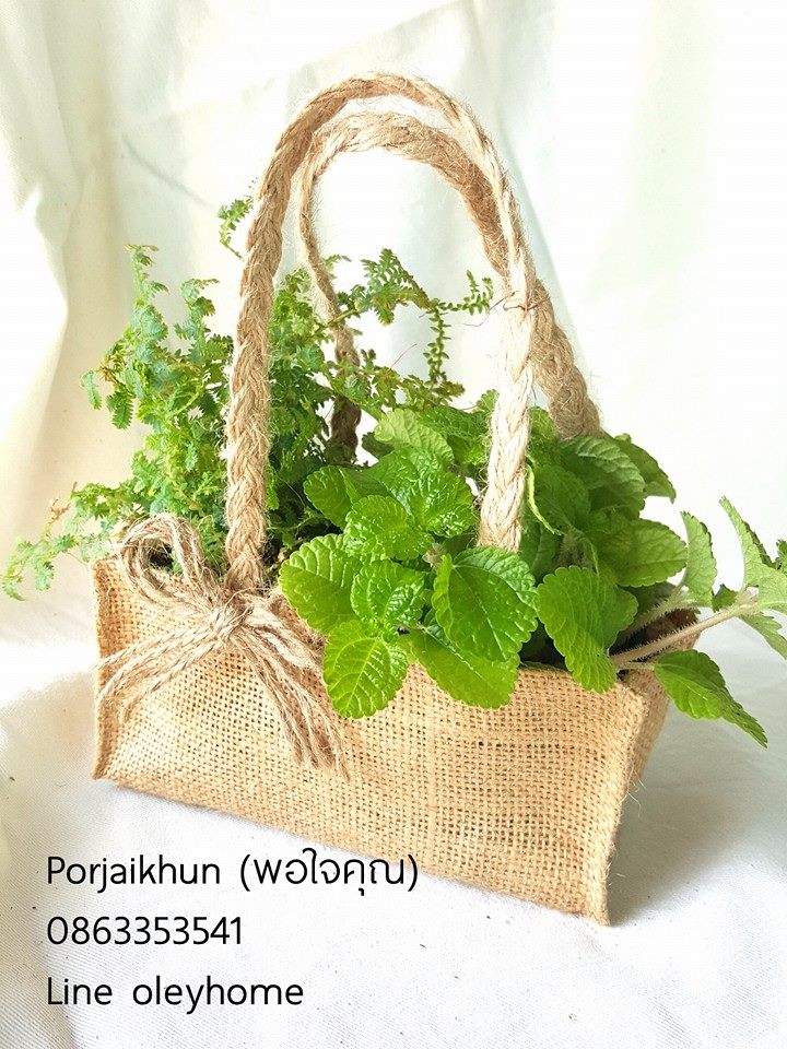 ของรับไหว้ผู้ใหญ่ต้นไม้แพ็คคู่ใส่ในถุงผ้ากระสอบเก๋ๆ