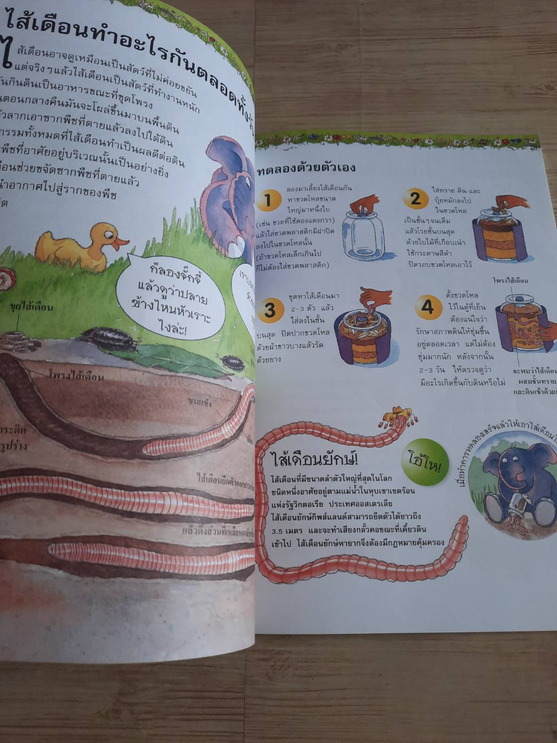 การค้นพบสุดมหัศจรรย์ วิทยาศาสตร์มีขีวิต ! พิมพ์ครั้งที่ 3 Janice Lobb เขียน มีนา โอวรารินทร์และรัตนา ใจซื่อสมบูรณ์ แปล***สินค้าหมด***