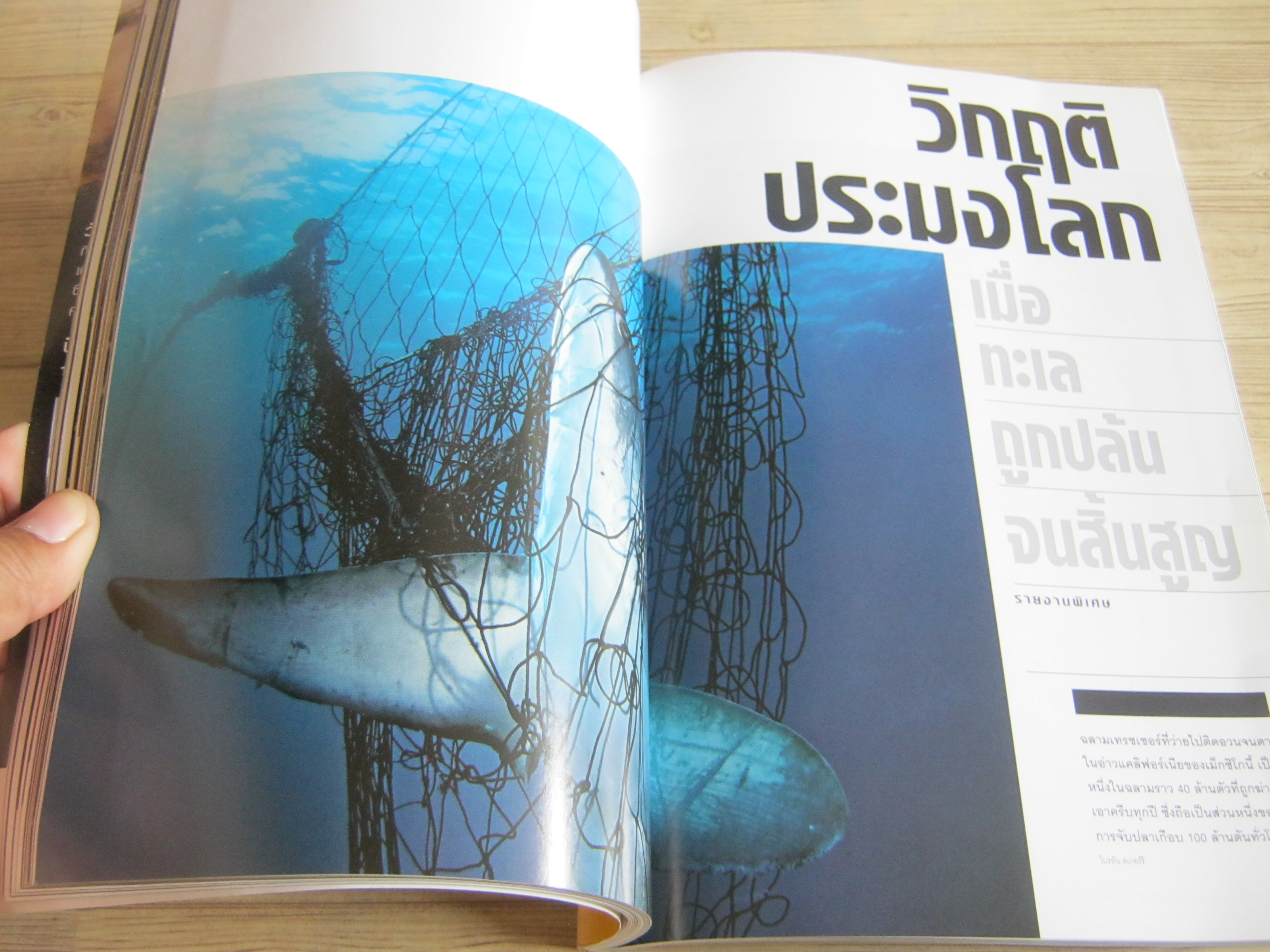 NATIONAL GEOGRAPHIC ฉบับภาษาไทย เมษายน 2550 บทเรียนนักล่า