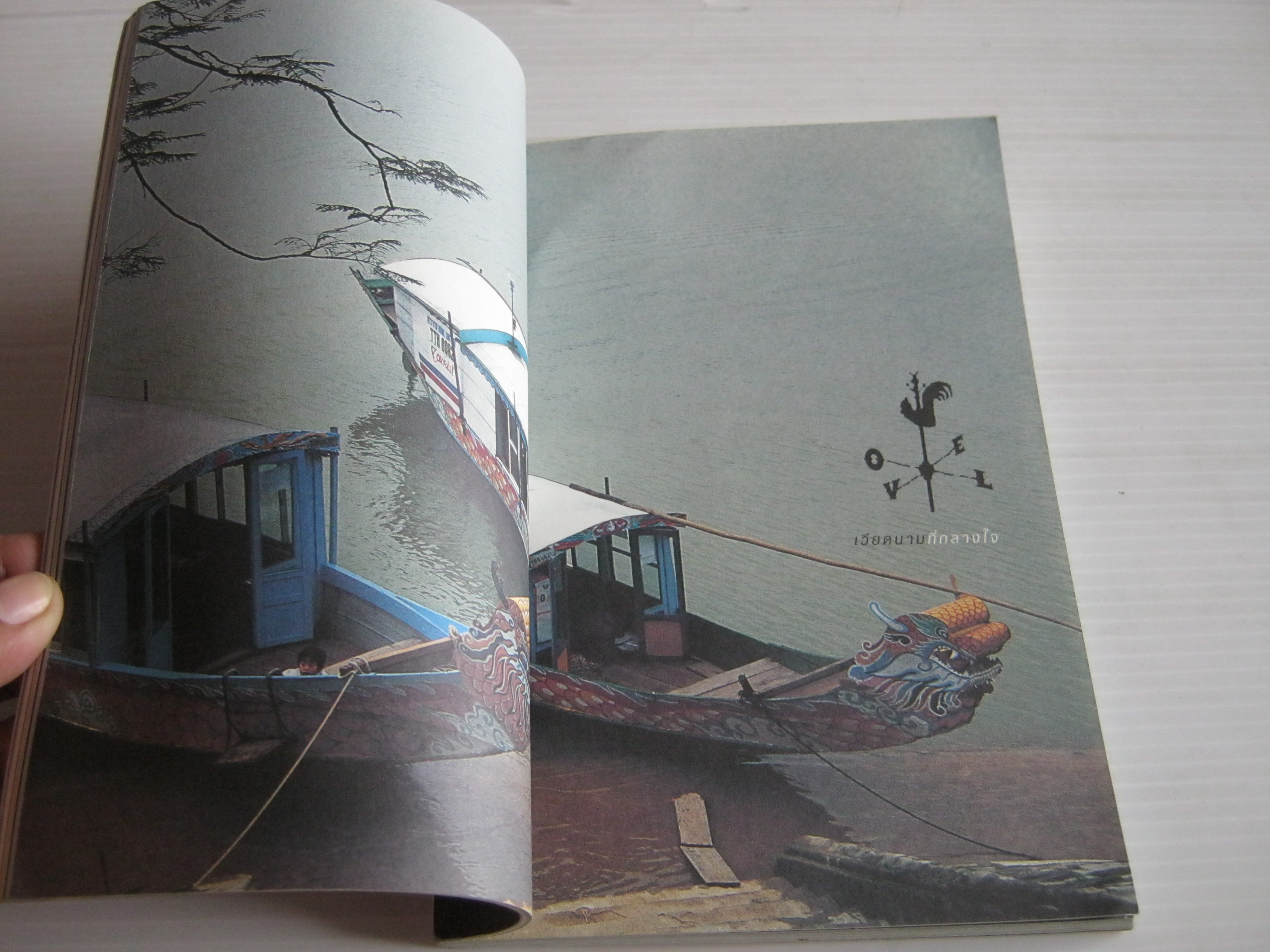 สายลม ดอกไม้ ความรัก พิมพิดา กาญจนเวทางค์ เขียน