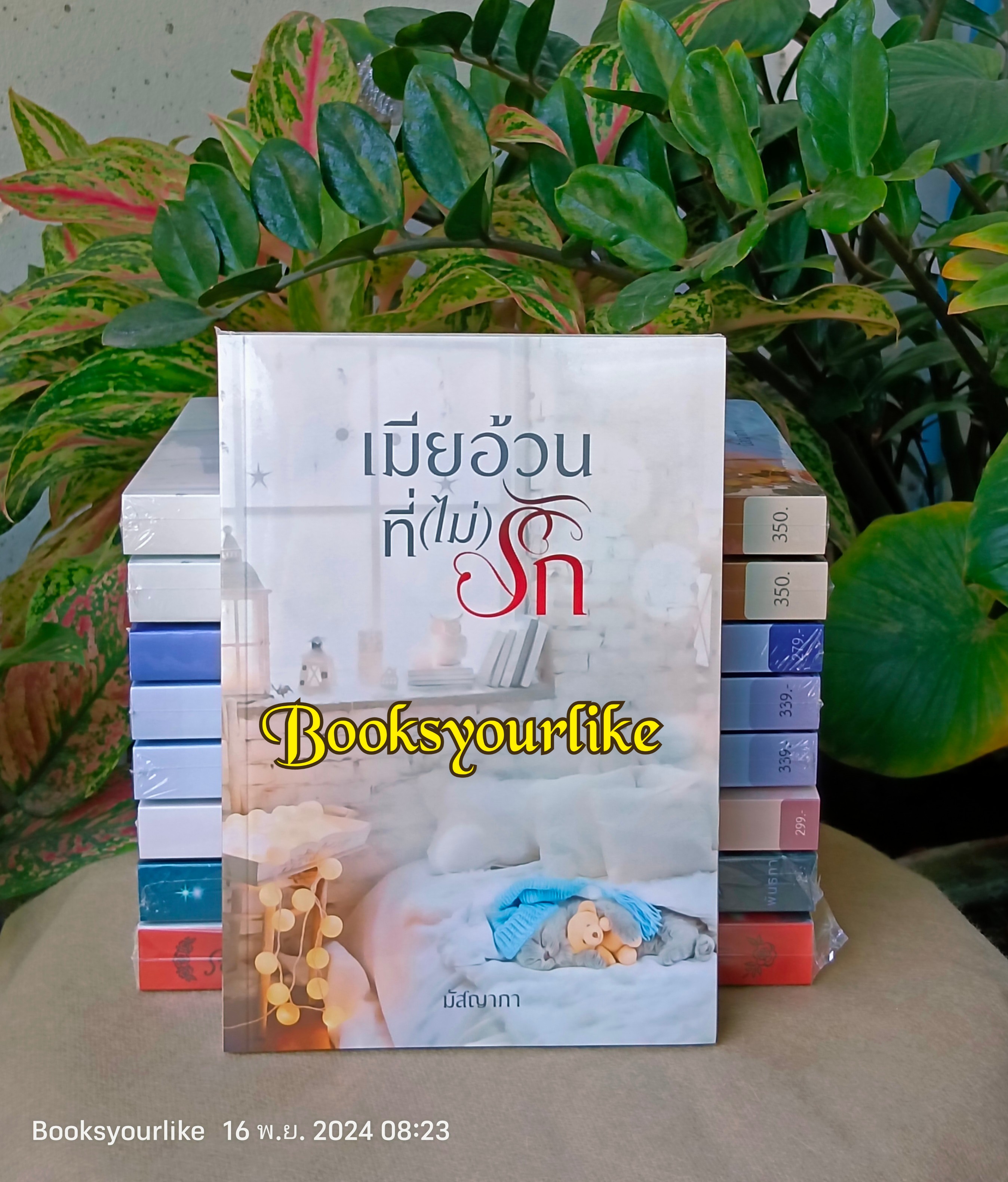 เมียอ้วนที่ไม่รัก,ผู้แต่ง,มัสญาภา,พันธกา,นิยายรักทำมือ