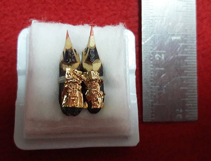 สาริกาไม้กาหลง เมตตามหานิยม มีเสน่ห์ ค้าขายดี ร่ำรวย พร้อมกล่องเดิมของวัดหนอยหอย จ.ราชบุรีค่ะ