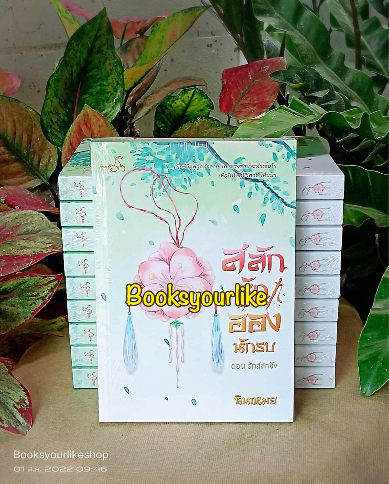 ส่งฟรี สลักรักอ๋องนักรบ ตอน รักสลักชัง,ผู้แต่งซินเหมย,นิยายจีนโบราณ,แนะนำค่ะ
