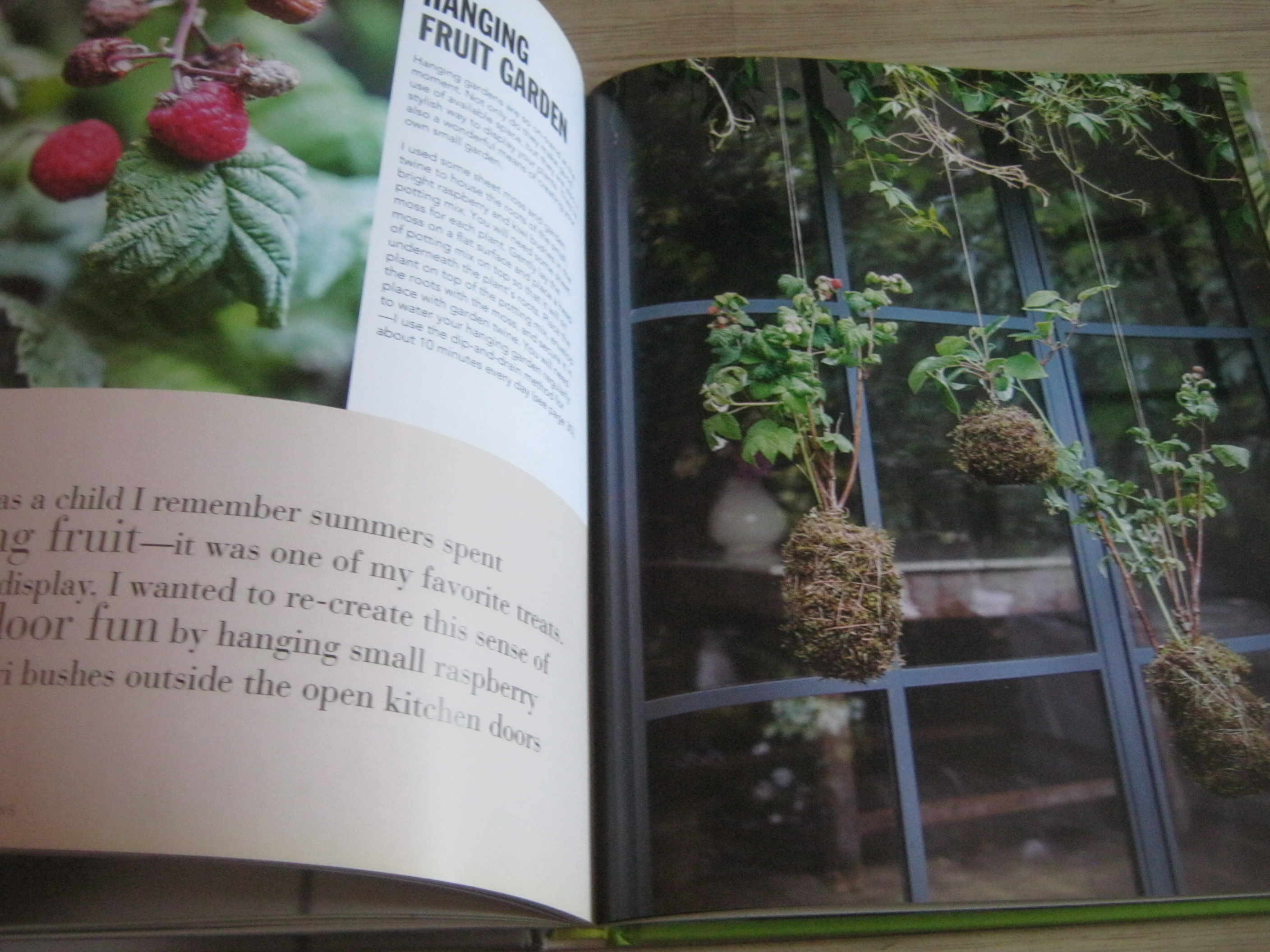 House Plants By Isabelle Palmer